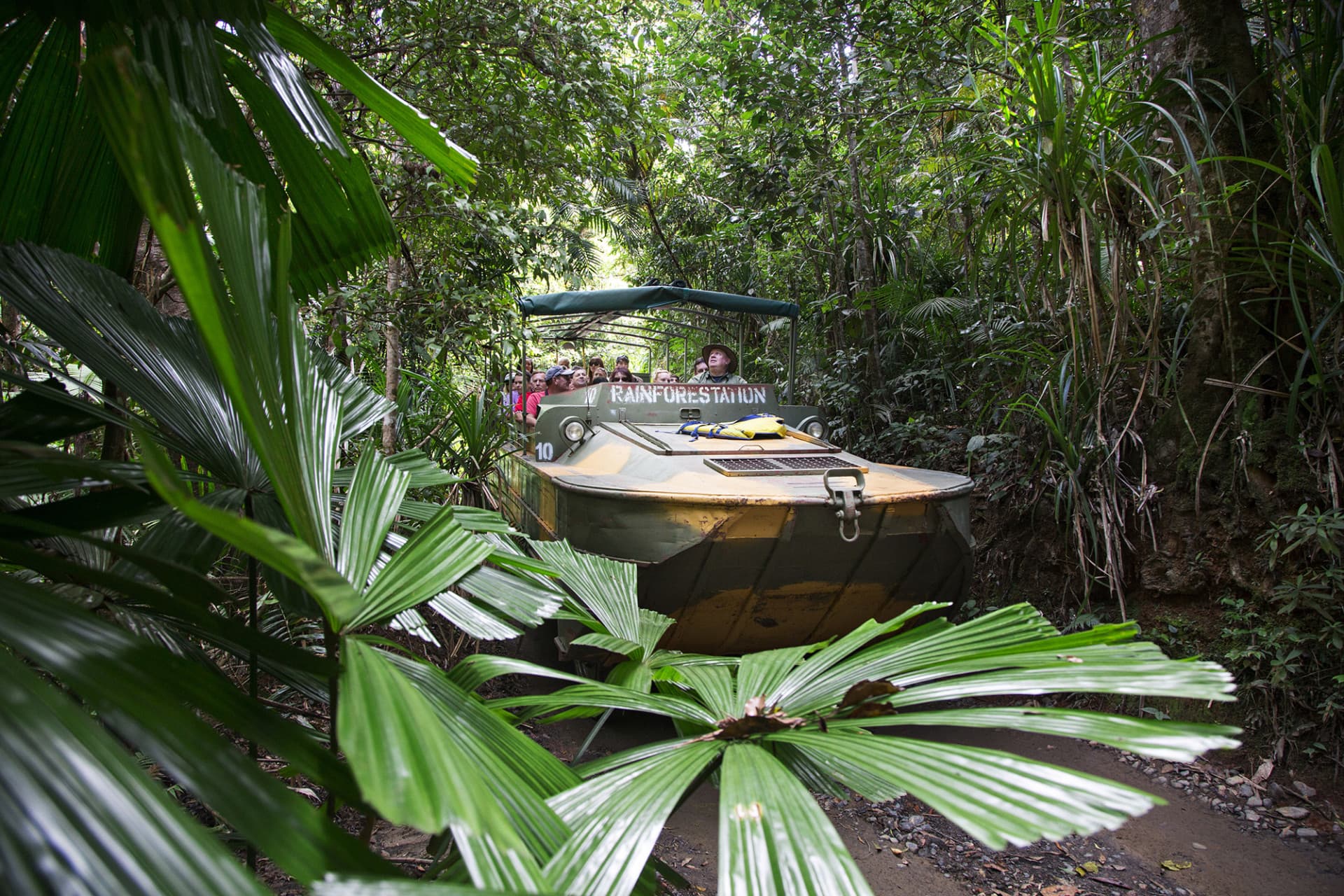 Full-Day Kuranda Tour with Skyrail Cableway, Scenic Railway, Rainforestation and Butterfly Sanctuary - تصویر اصلی