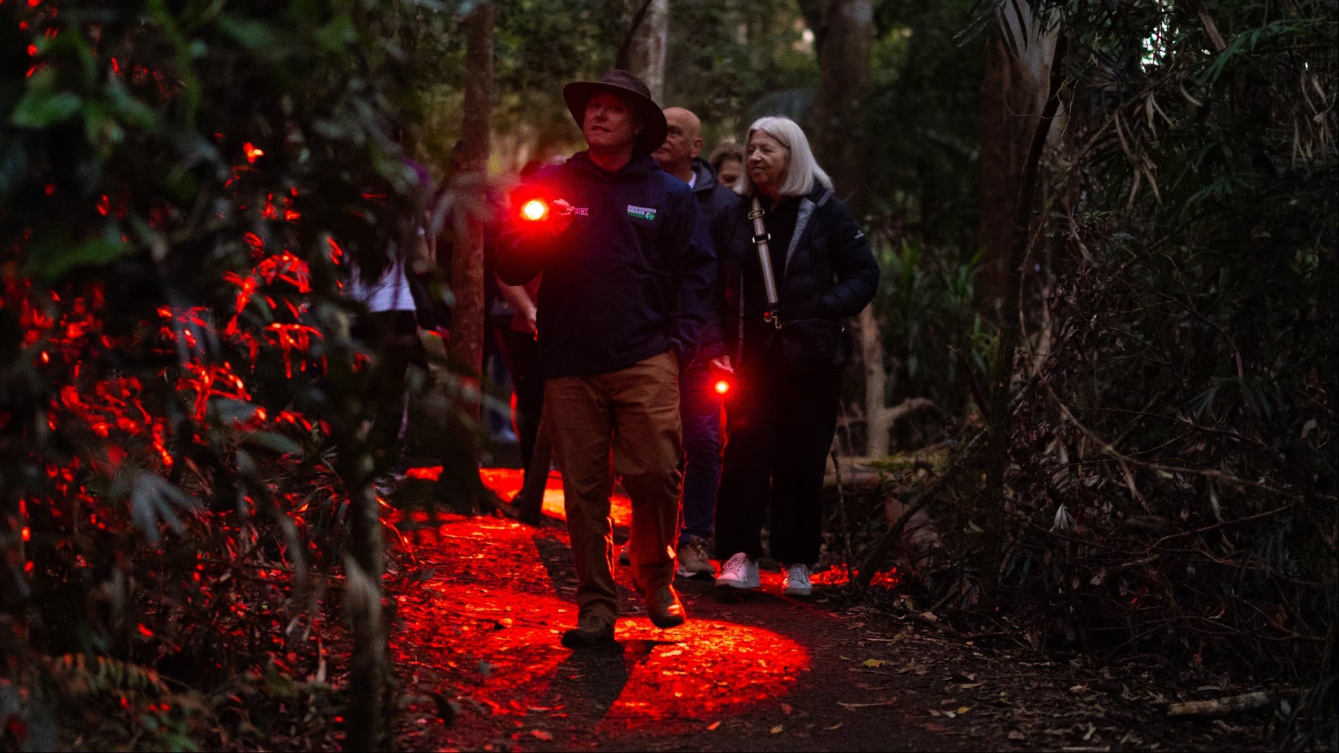 Guided Evening Rainforest Walk and Glow Worms Experience from Gold Coast - تصویر 2
