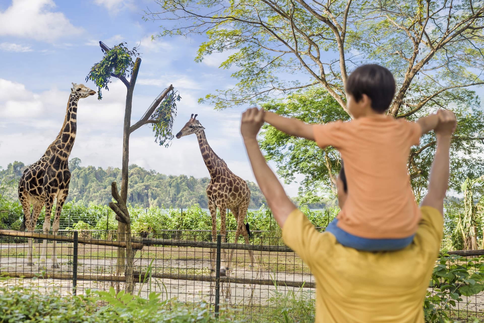 Singapore Zoo Ticket - تصویر 3