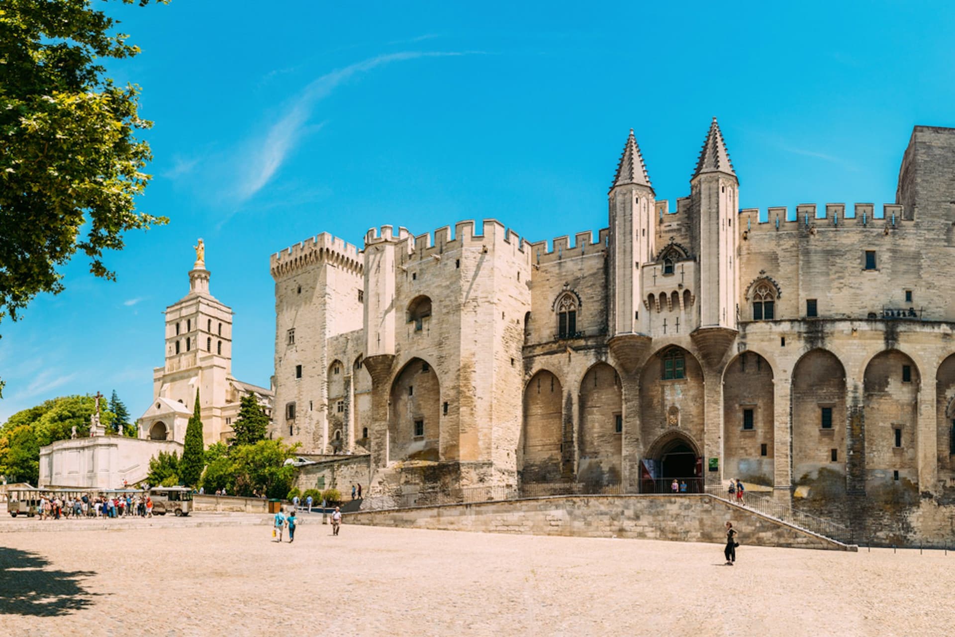 Palace of the Popes and Pont d’Avignon Ticket - تصویر اصلی