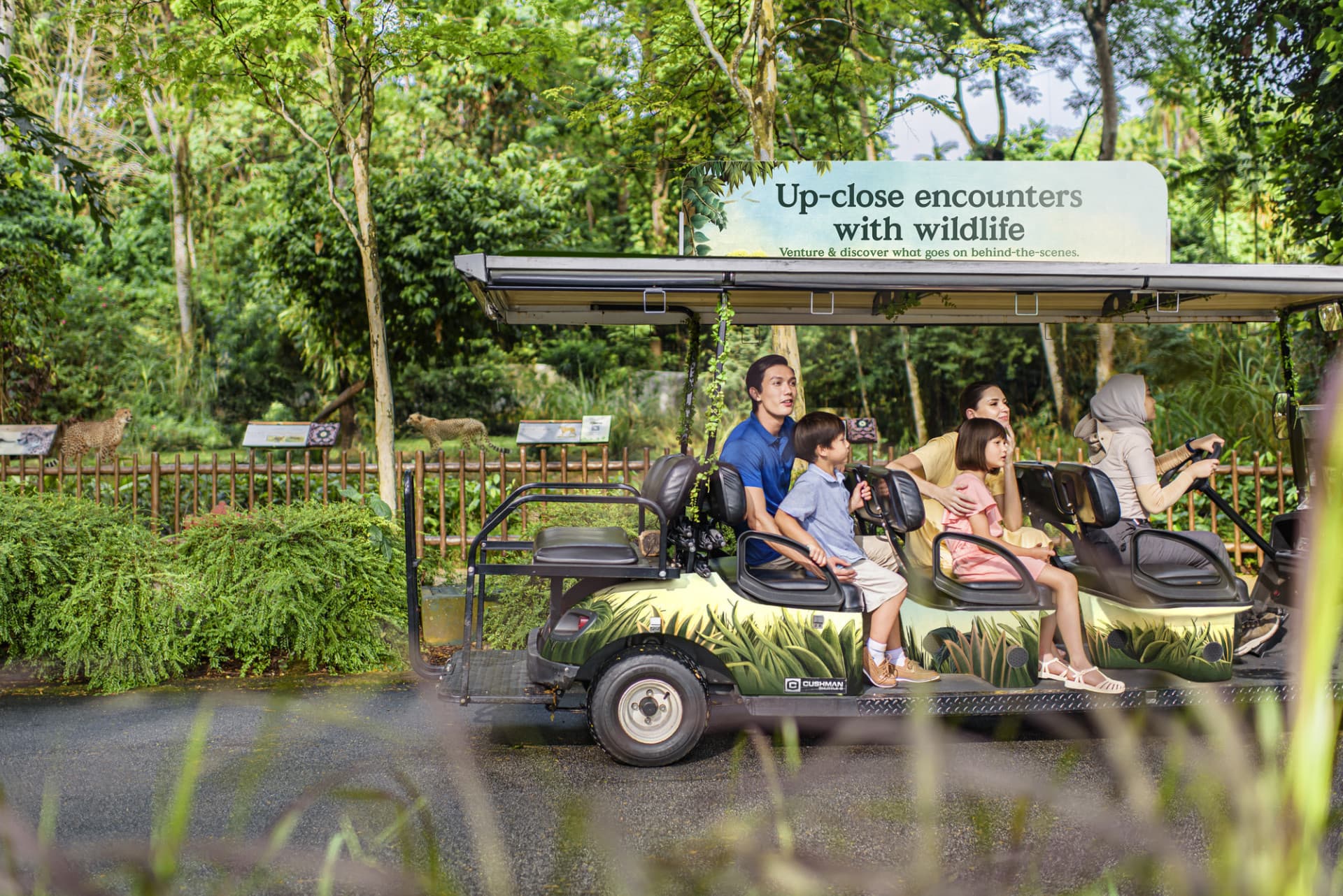 Singapore Zoo Ticket - تصویر 6