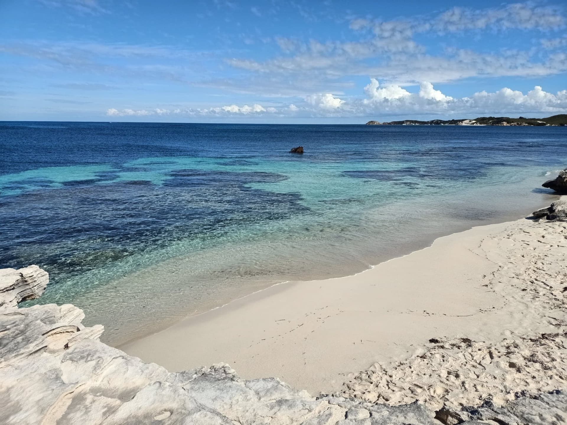 Rottnest Island Settlement Explorer Segway Tour with Round Trip SeaLink Ferry Transfer - تصویر 6