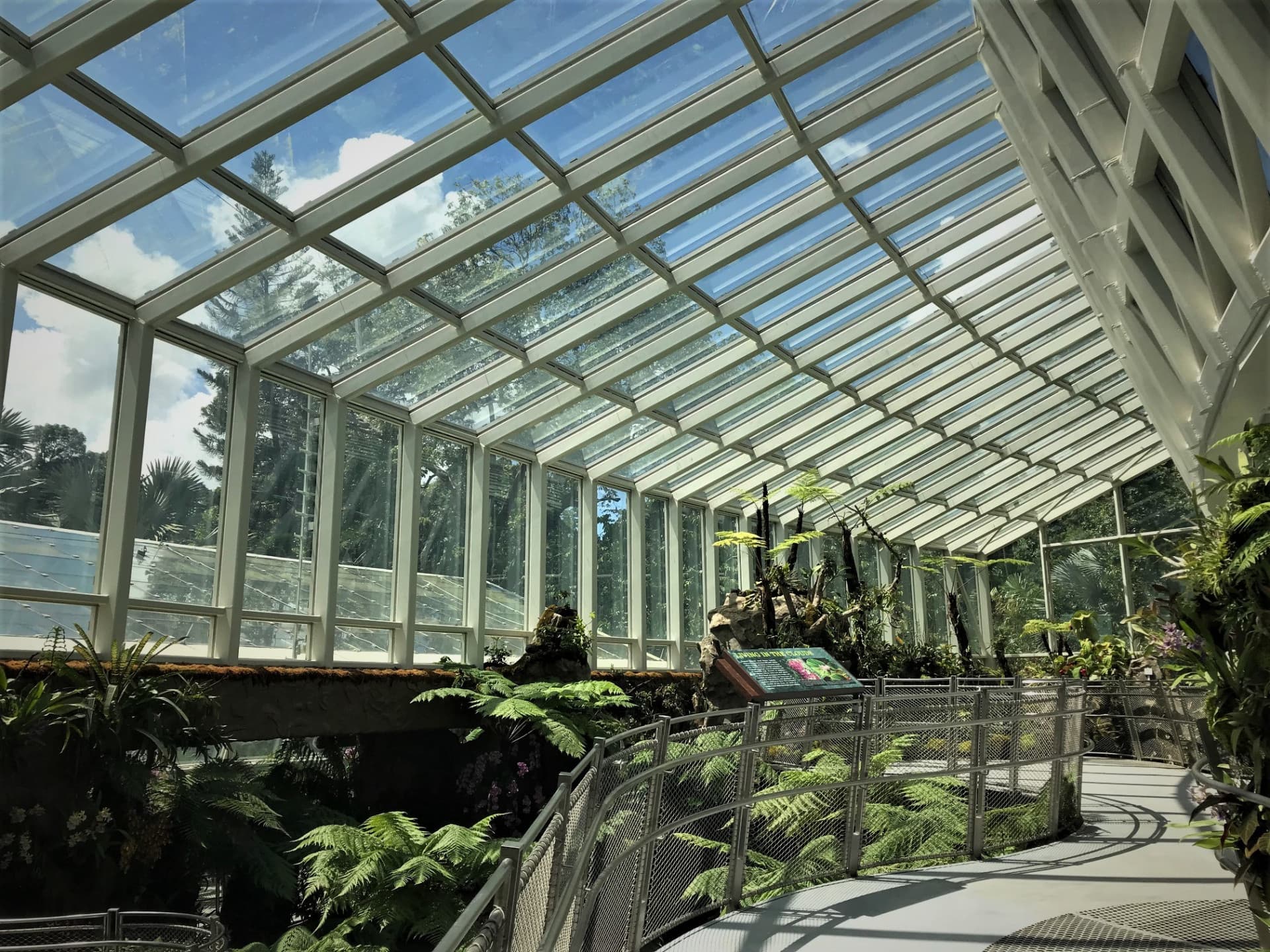 National Orchid Garden Ticket - تصویر 9