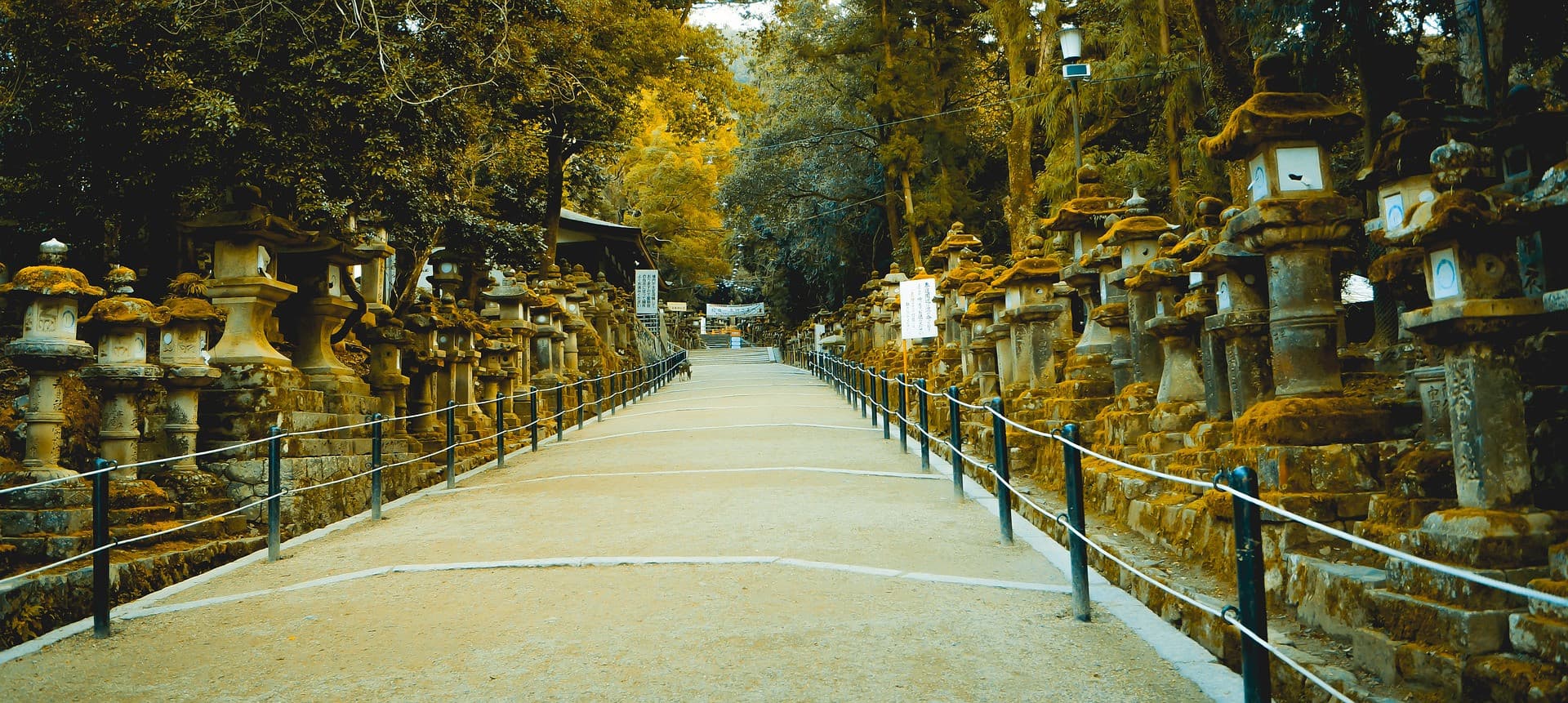 Nara Tour from Kyoto - تصویر 5
