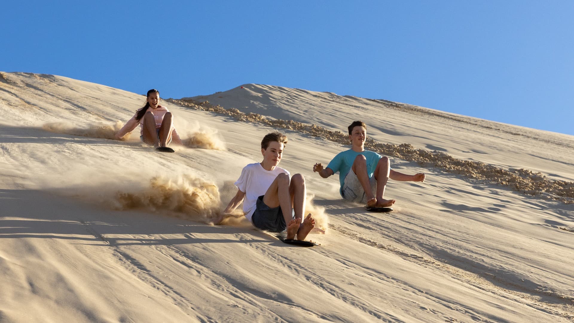 Port Stephens 4WD Sandboarding Experience - تصویر اصلی