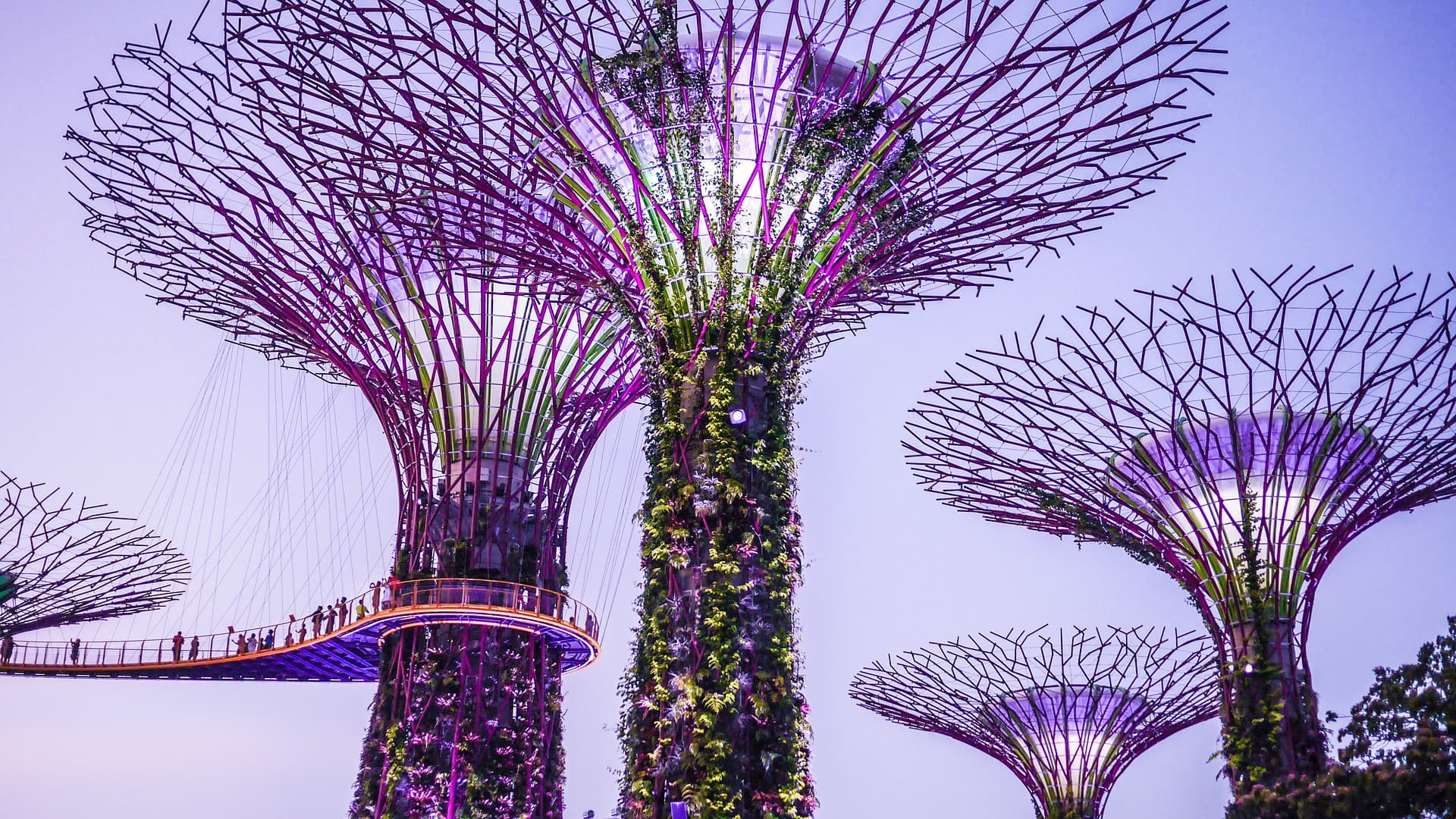COMBO: Singapore Cable Car + Gardens by the Bay Ticket - تصویر 9