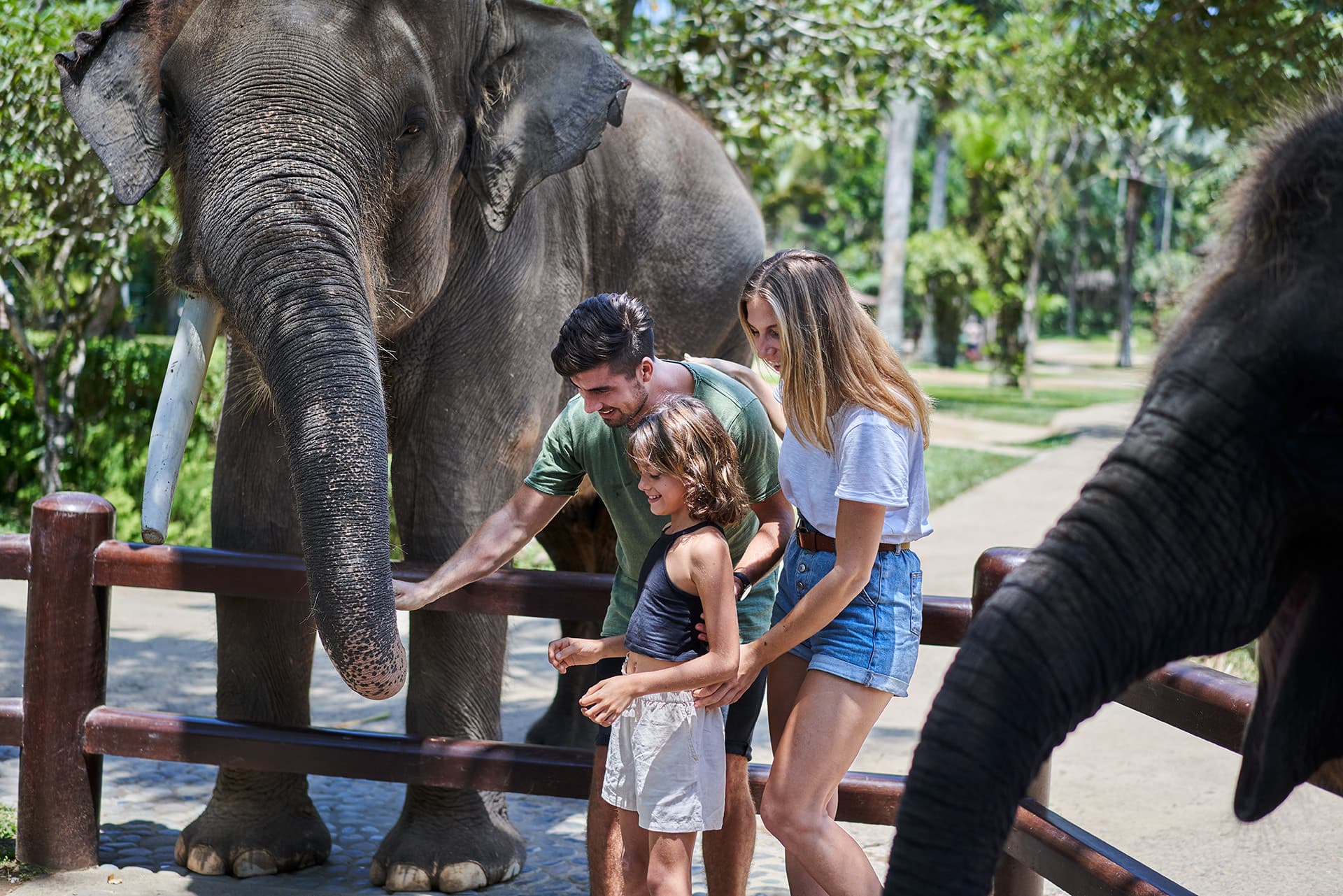 COMBO: Waterbom Bali + Mason Elephant Park Bali Tickets - تصویر 7
