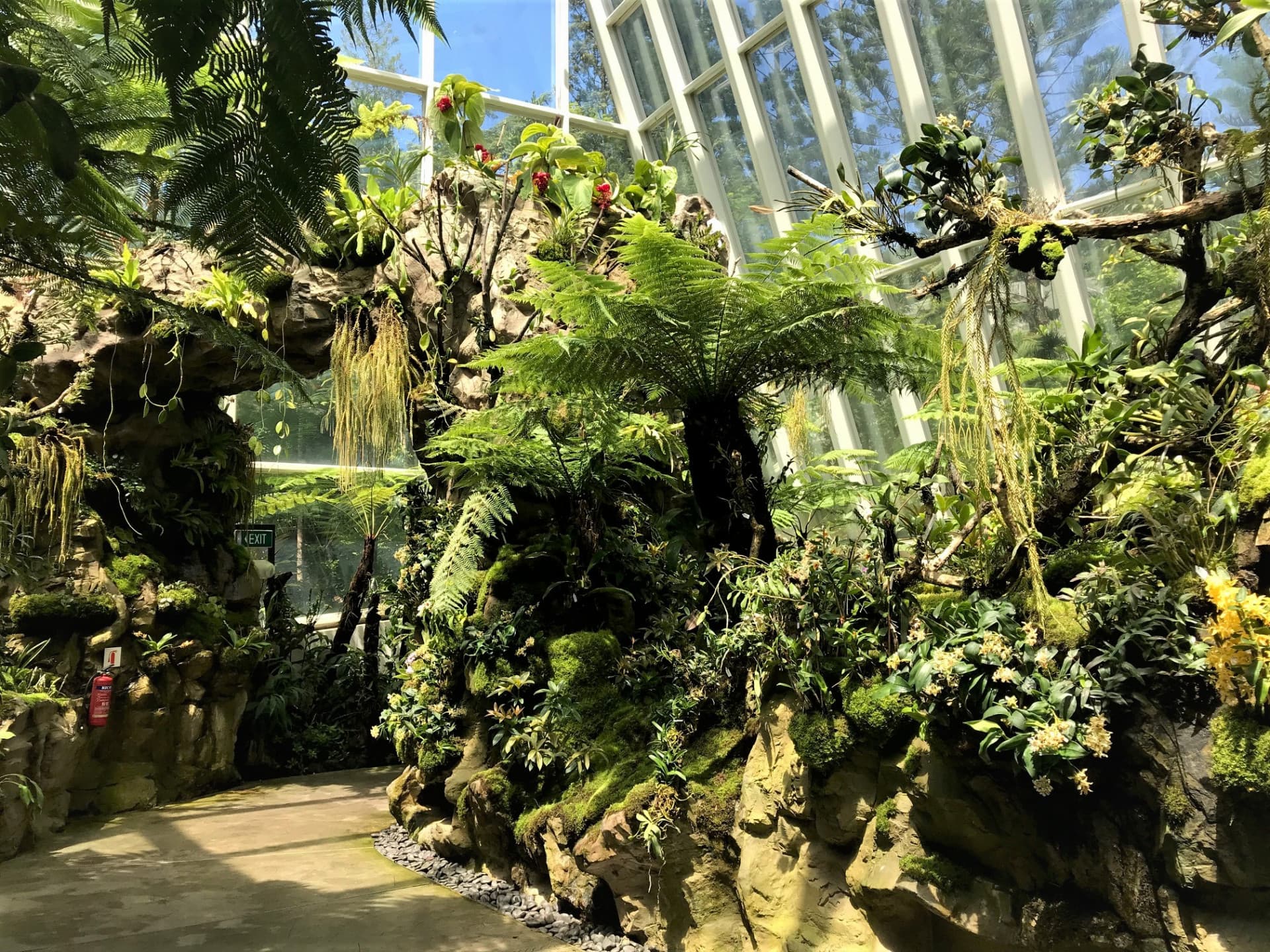 National Orchid Garden Ticket - تصویر 12