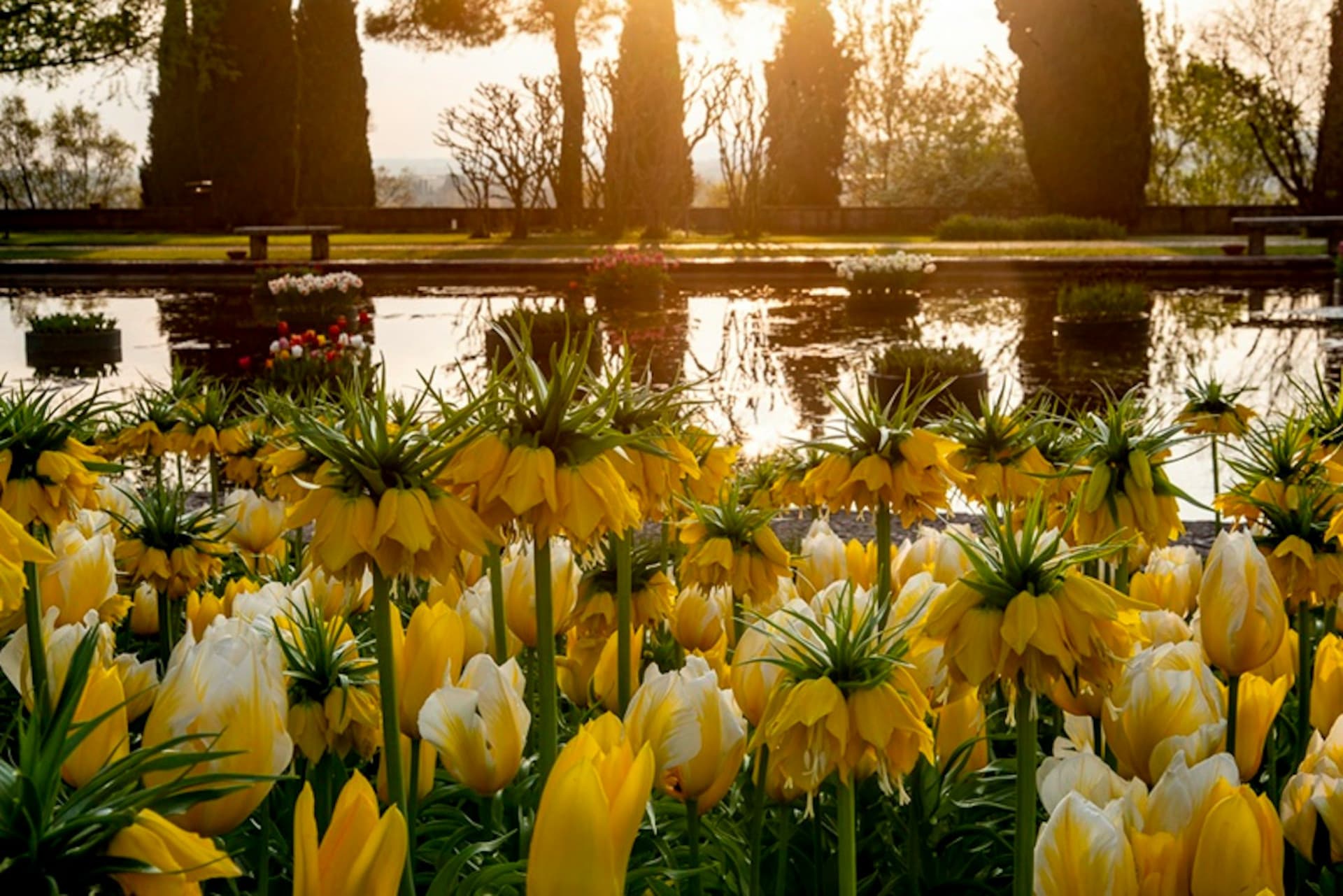 Parco Giardino Sigurtà Ticket - تصویر 15