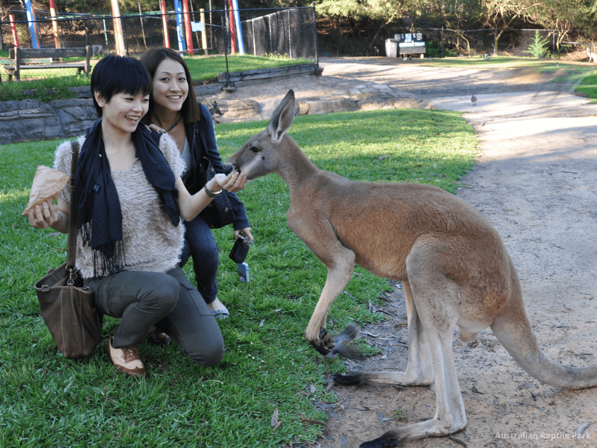 Australian Reptile Park - تصویر 14