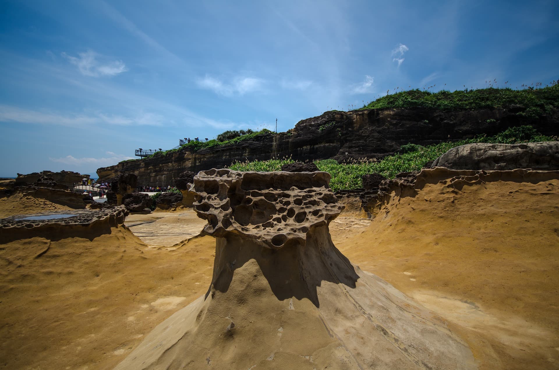 COMBO: Taipei 101 Observatory + Yehliu Geopark - تصویر 6