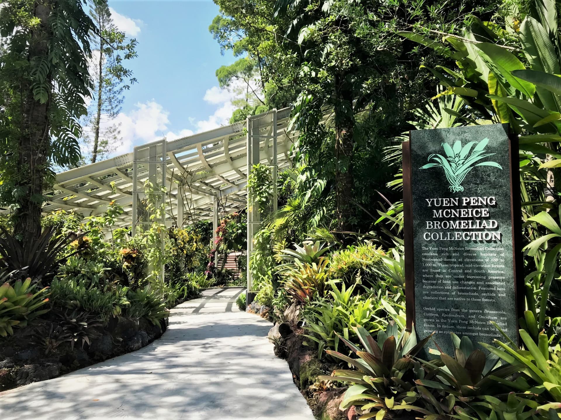 COMBO: Gardens by the Bay + National Orchid Garden Ticket - تصویر 8