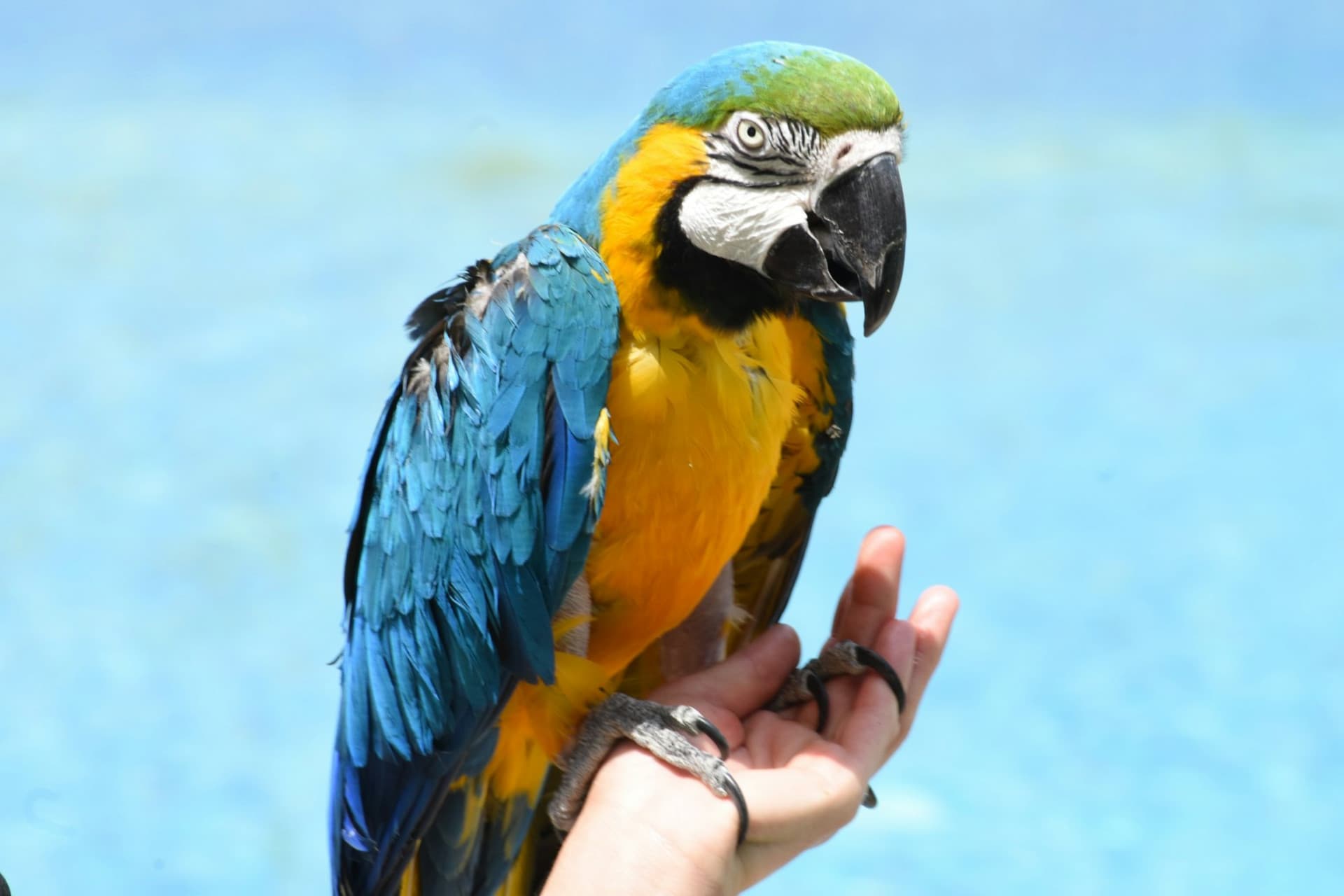 Terra Natura Murcia Ticket - تصویر 2