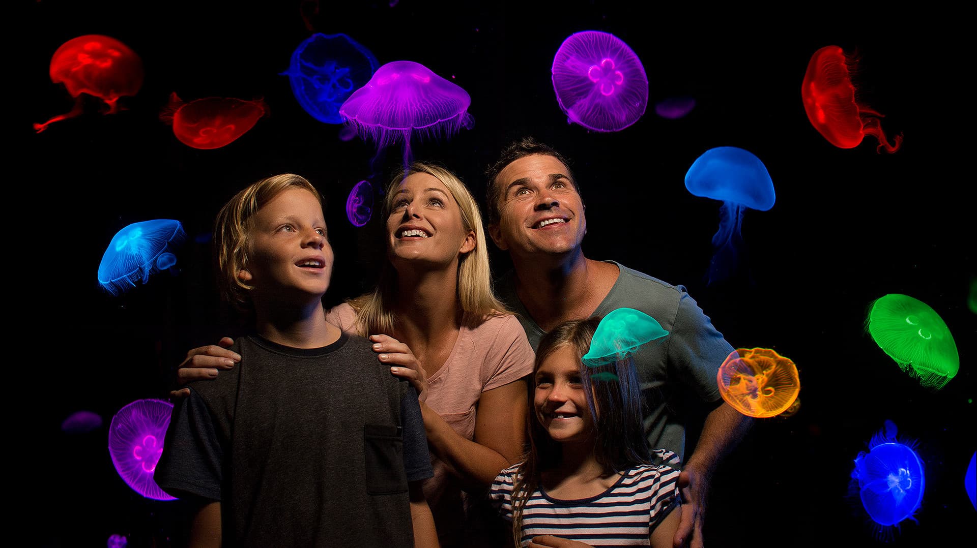 SEA LIFE Sunshine Coast Aquarium Direct Entry Ticket - تصویر 3