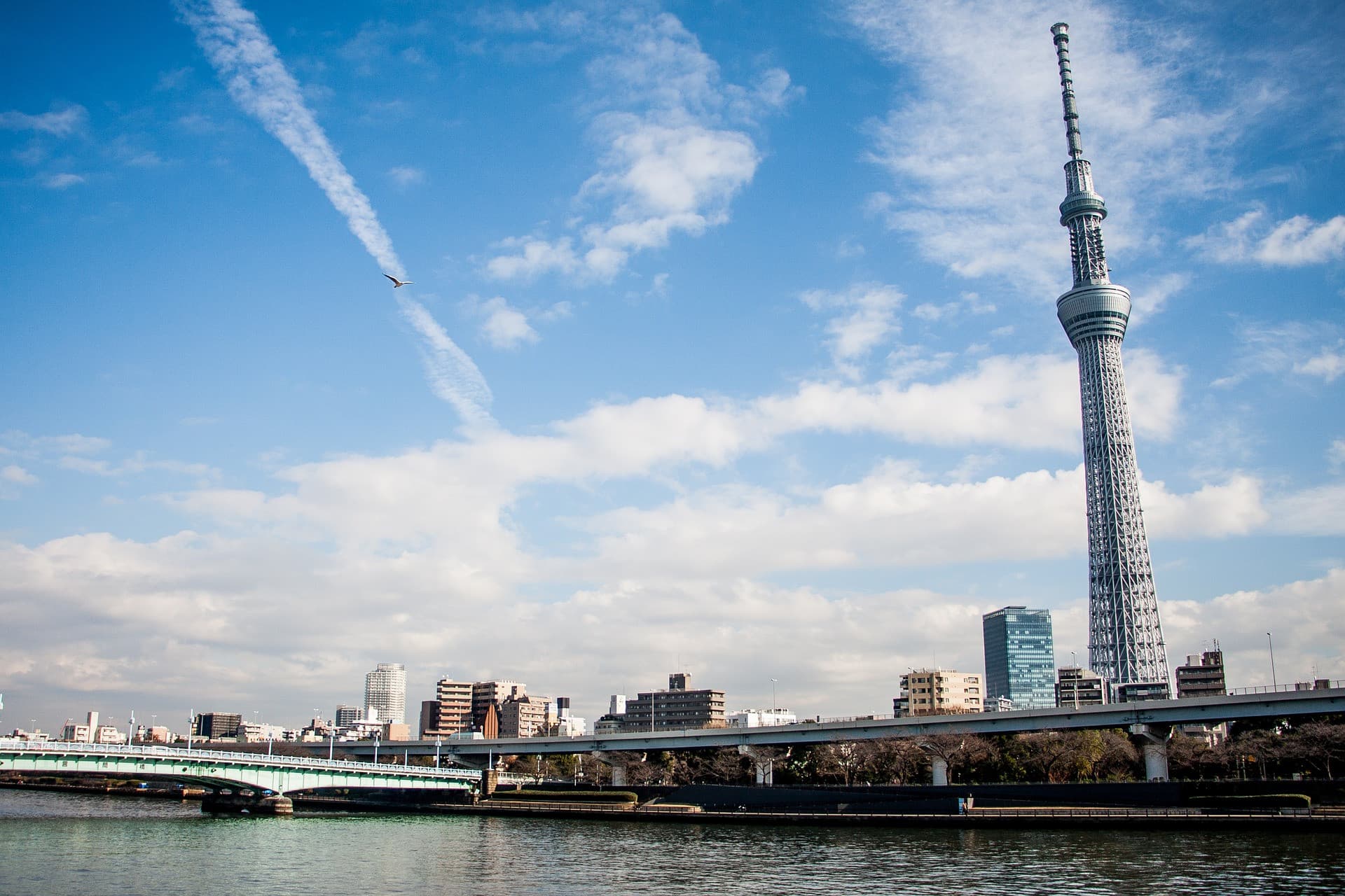 COMBO: Tokyo Skytree + Tembo Galleria Ticket - تصویر 2