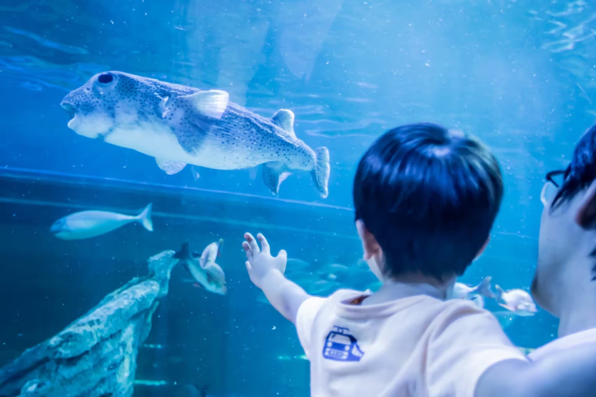 Shinagawa Aquarium Ticket - تصویر اصلی