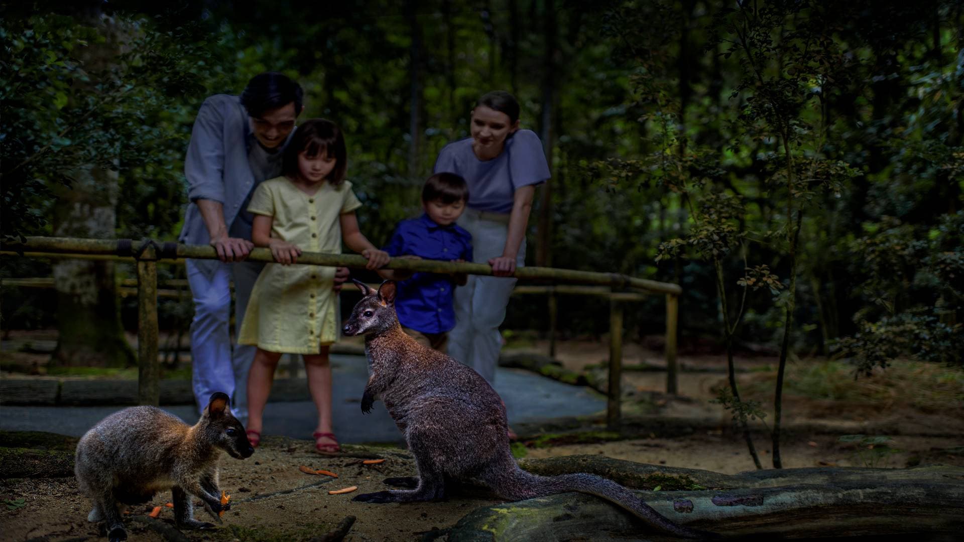 Singapore Night Safari Ticket - تصویر 4