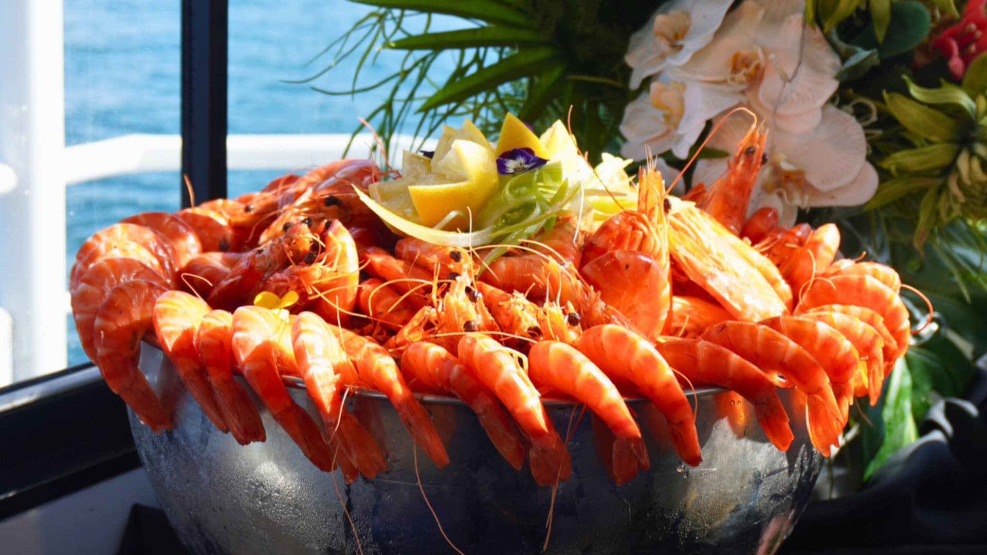 Sydney Harbour Buffet Lunch Discovery Cruise - تصویر 2
