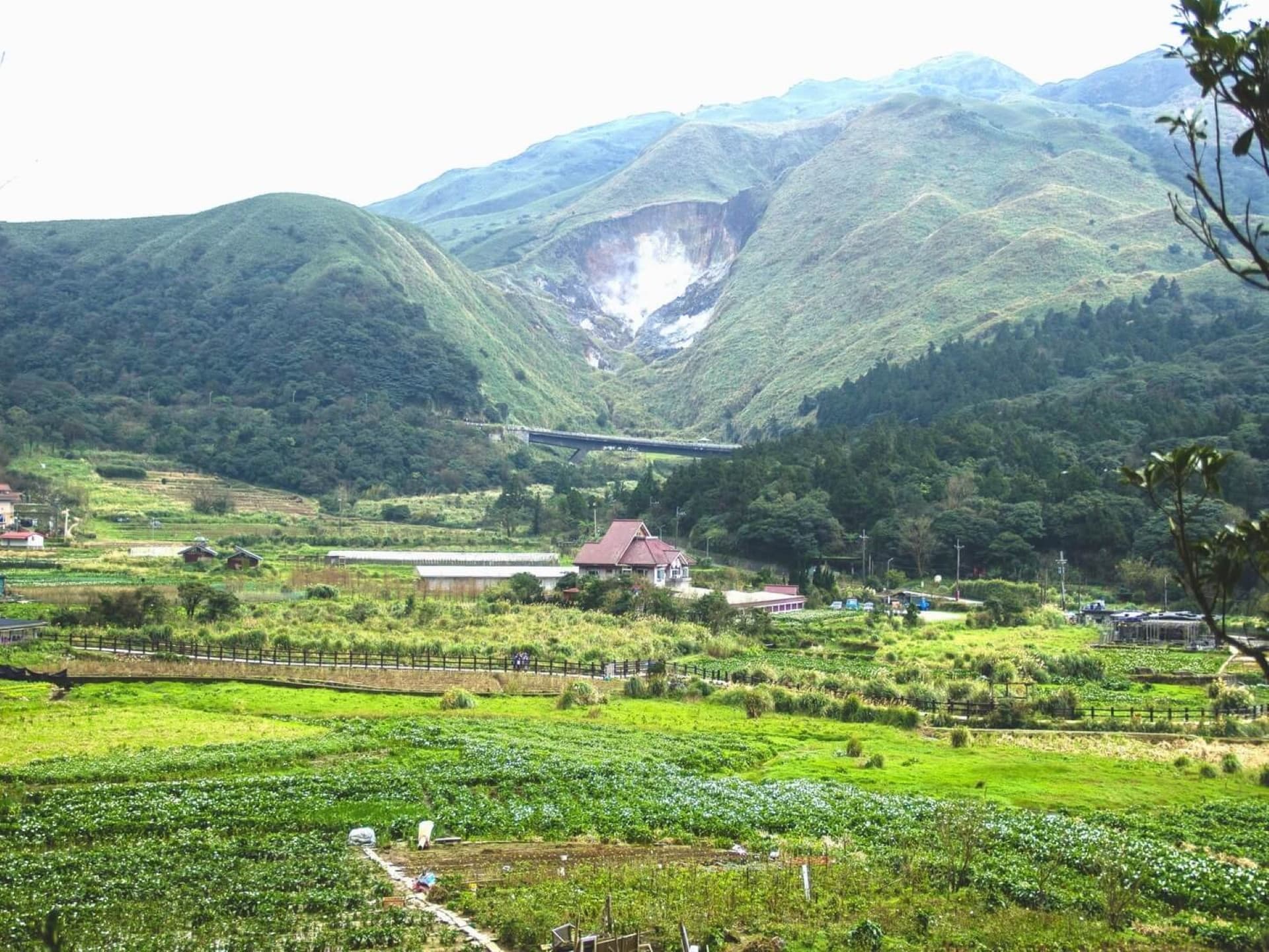 Yangmingshan National Park and Beitou Hot Spring Full-Day Tour from Taipei - تصویر 12