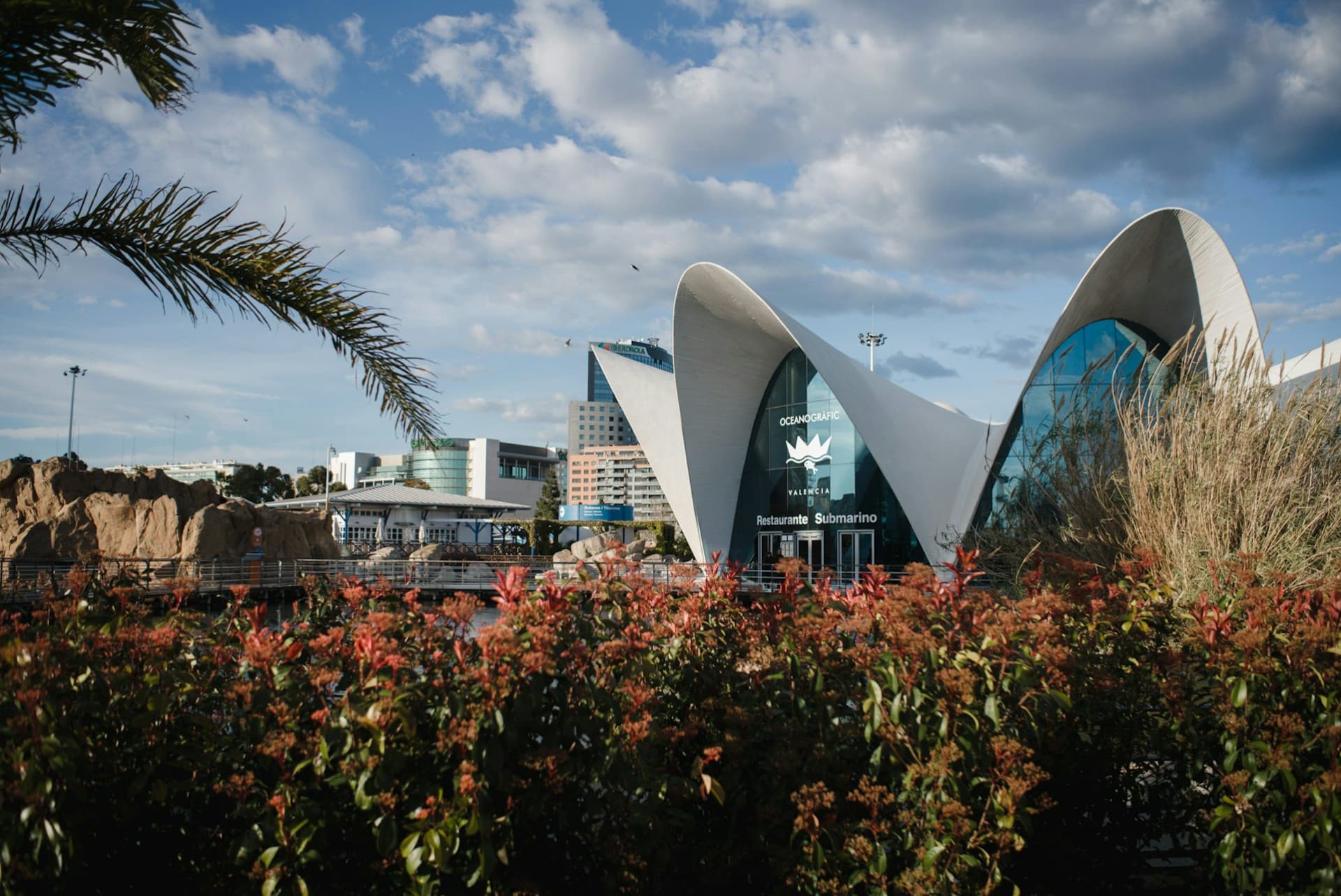 Oceanogràfic de Valencia Ticket - تصویر 7