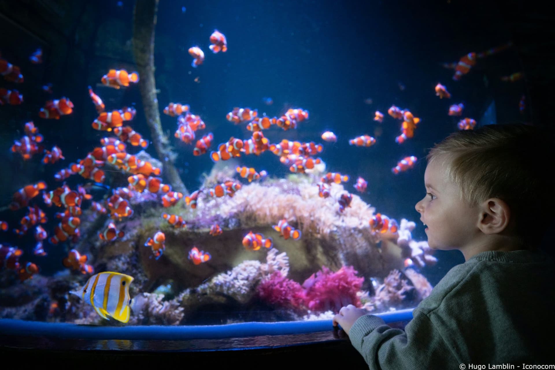 Nausicaa: Skip The Line Ticket - تصویر 14