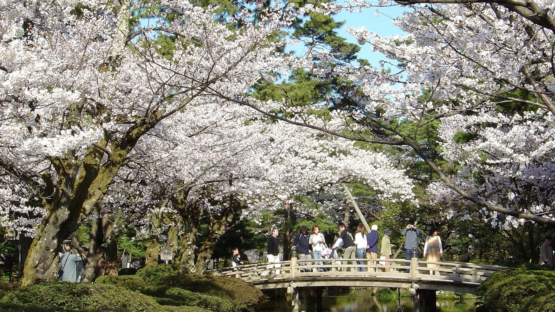 Kenrokuen Garden Ticket - تصویر 3