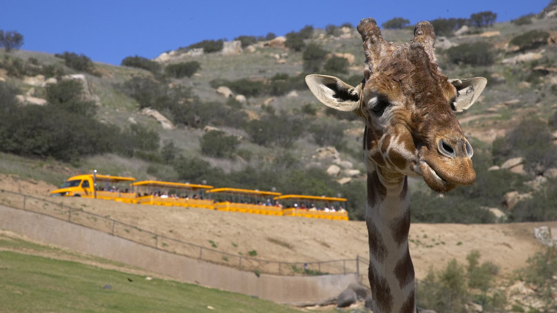 Go City San Diego Explorer Pass: Save up to 50% on Attractions - تصویر 42