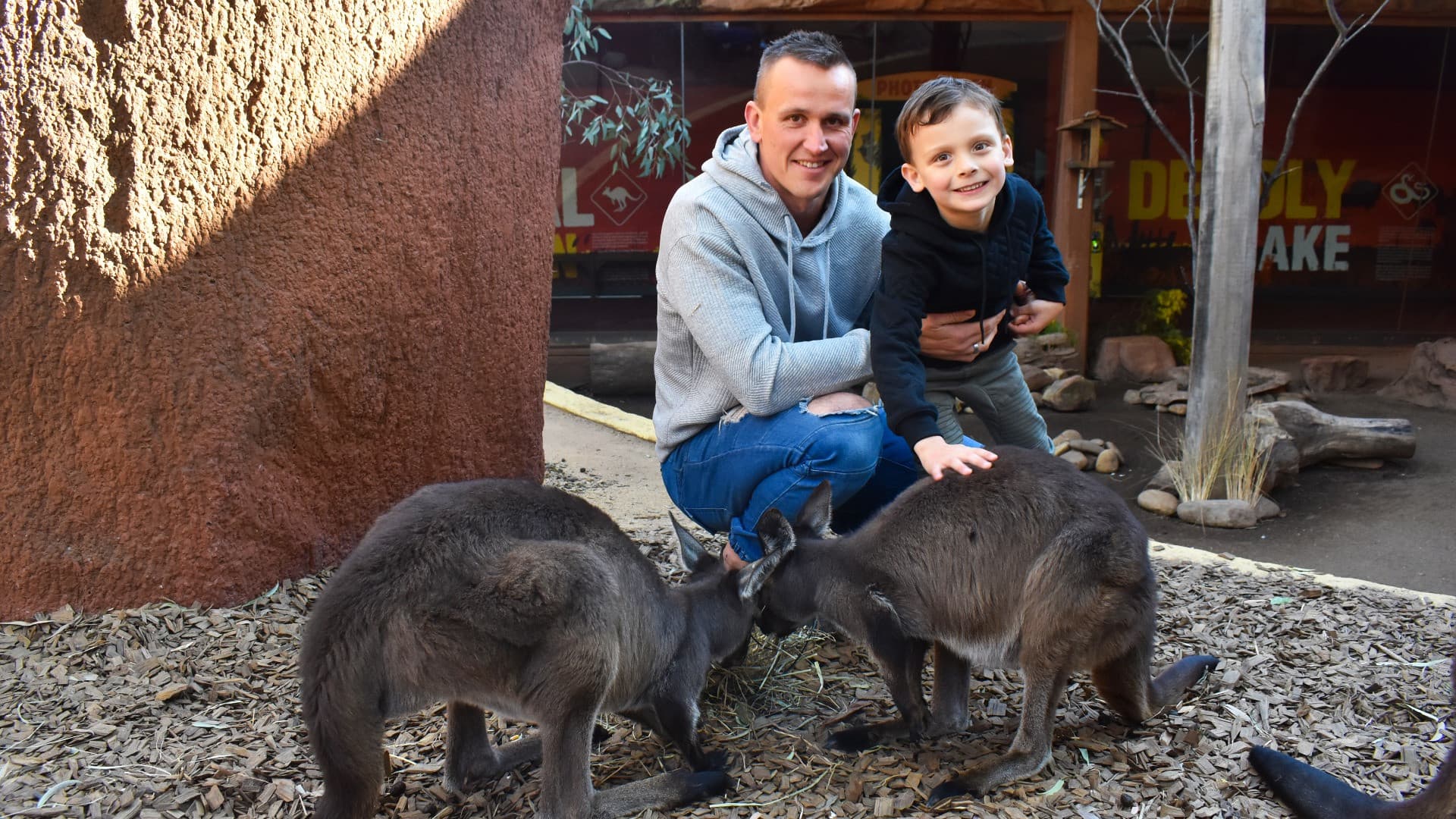 COMBO: WILD LIFE Sydney Zoo Ticket + Captain Cook Hop-on Hop-off Cruise - تصویر 7