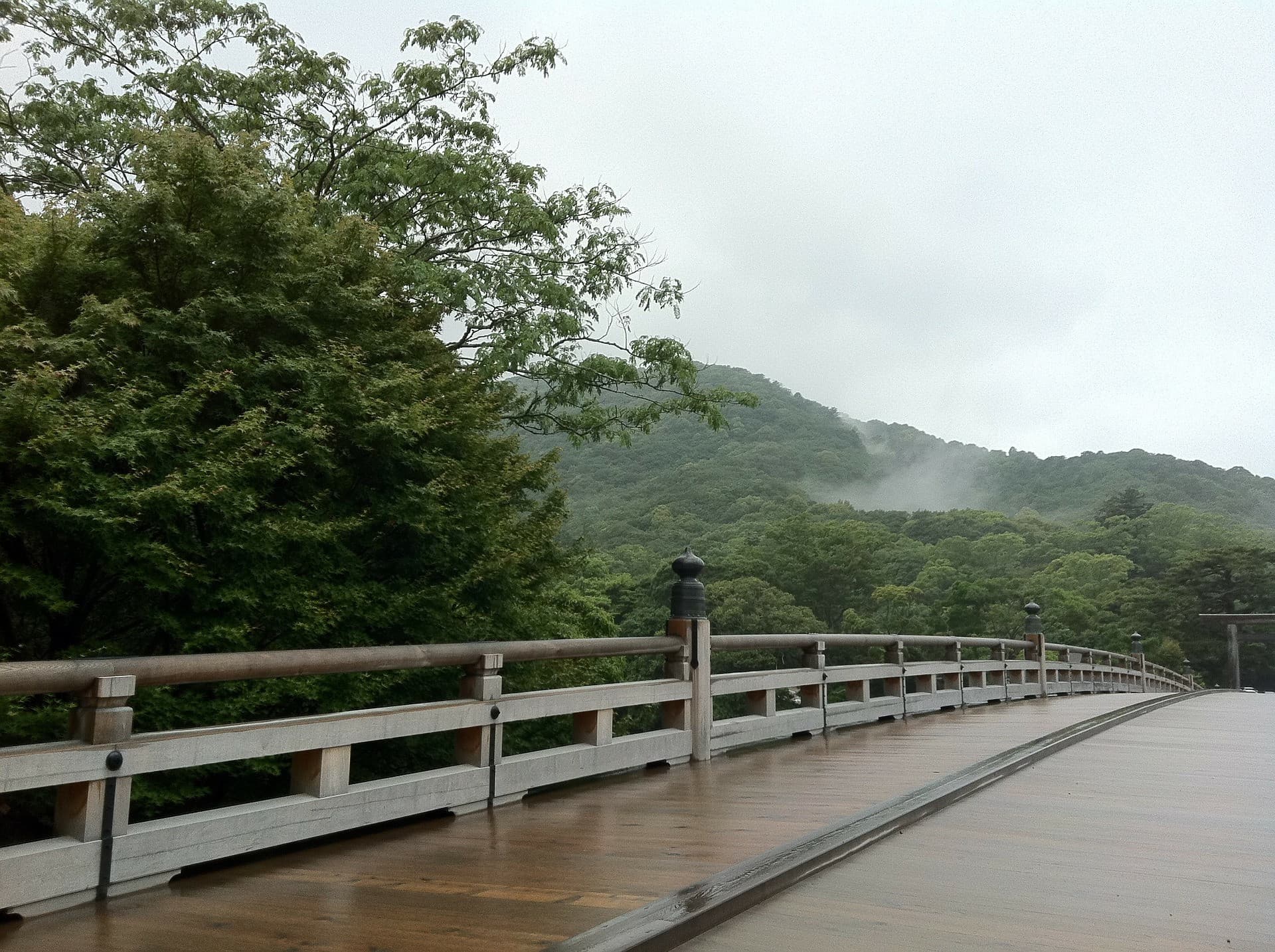 Uji Walking Tour and Tea Ceremony Experience from Kyoto - تصویر 4