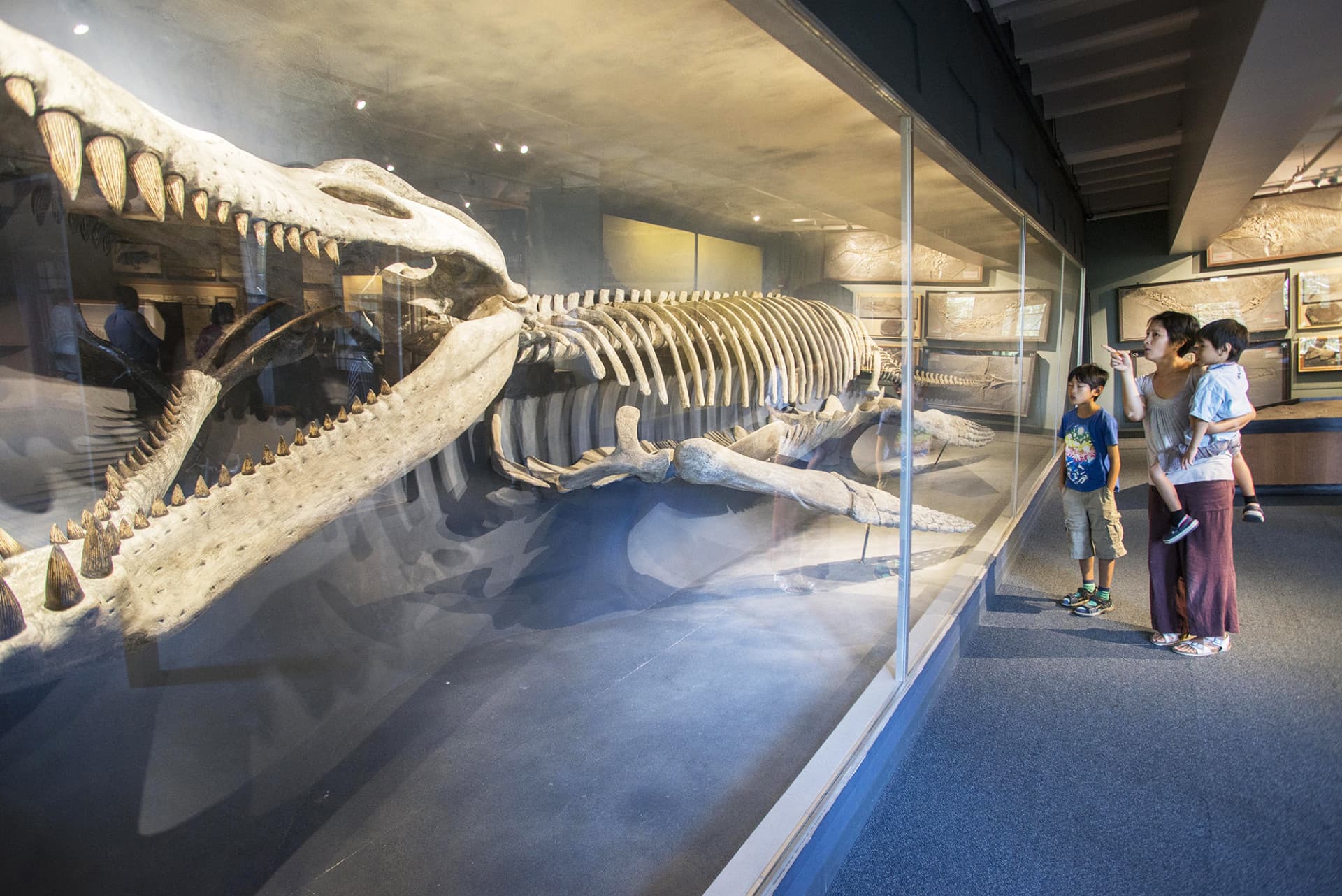 Go City Boston All-Inclusive Pass: Save up to 50% on Attractions - تصویر 26