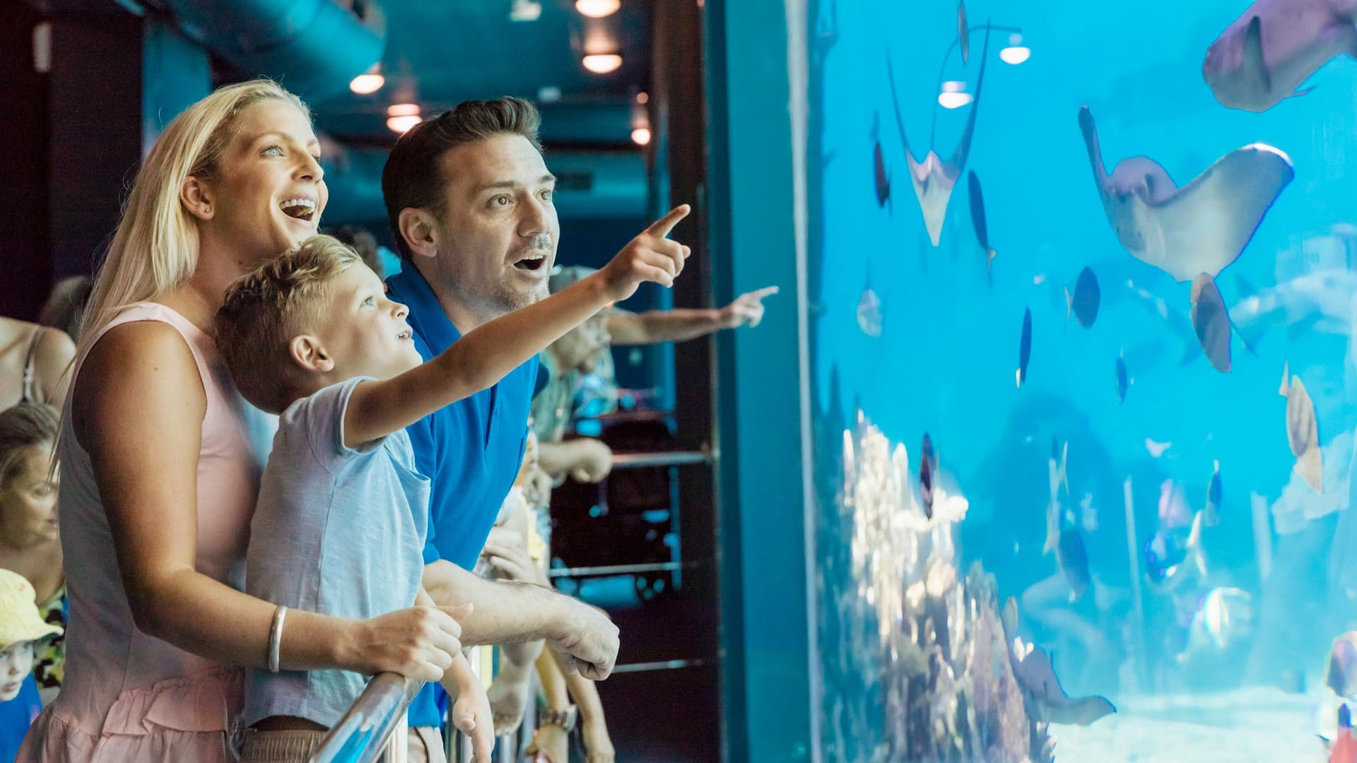 Sea World Gold Coast Ticket - تصویر 3