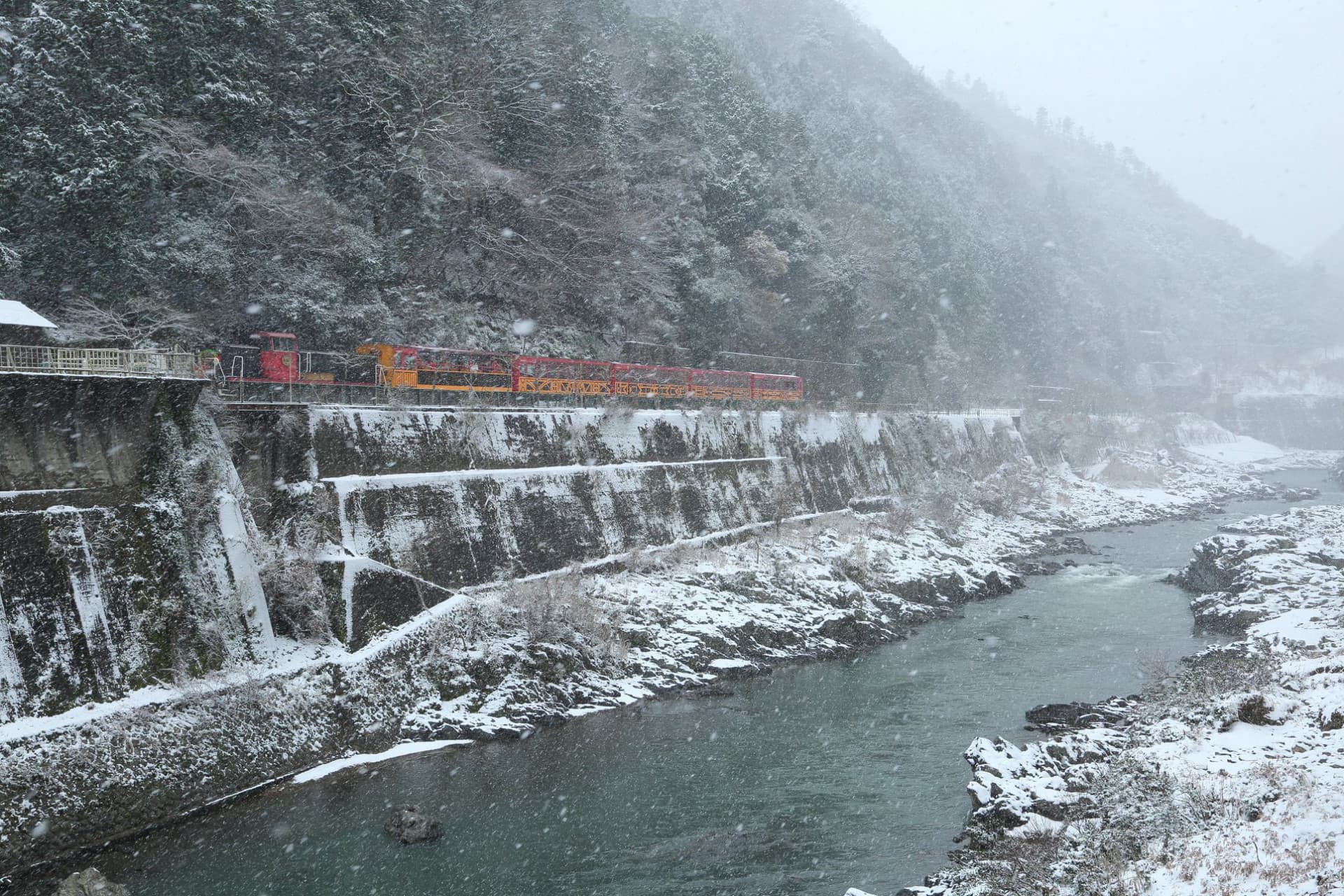Sagano Romantic Train - تصویر 25