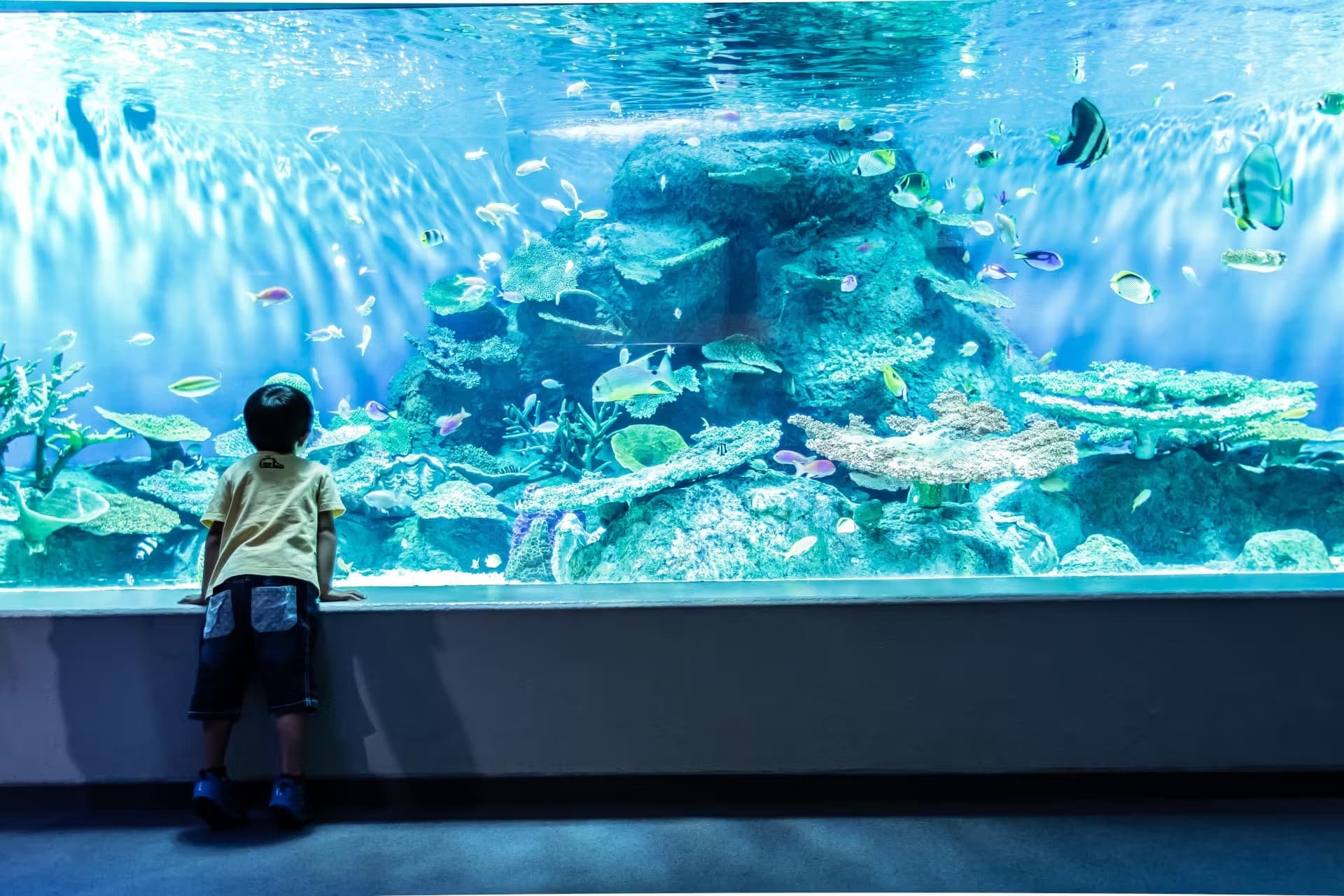 Shinagawa Aquarium Ticket - تصویر 2