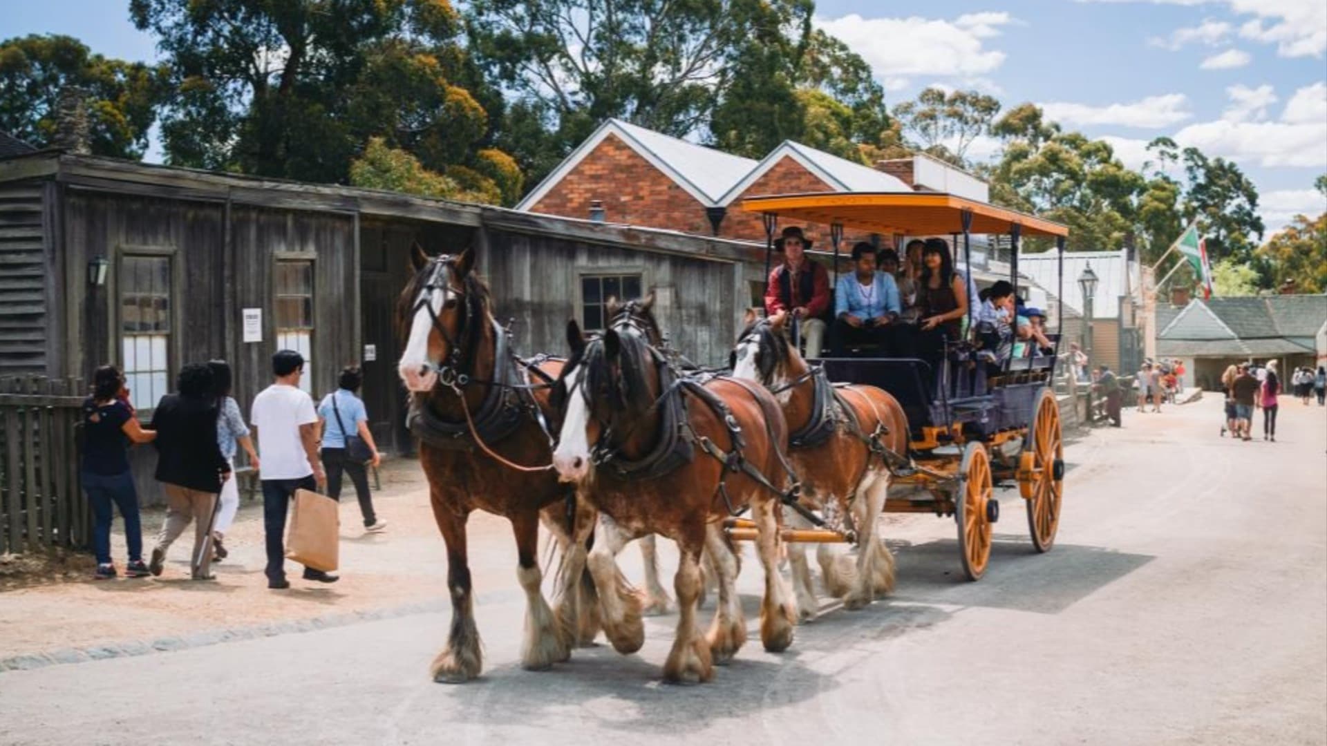 Sovereign Hill Entry Ticket - تصویر اصلی