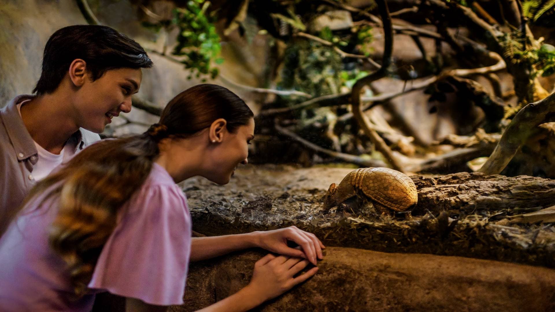 Singapore Night Safari Ticket - تصویر 9