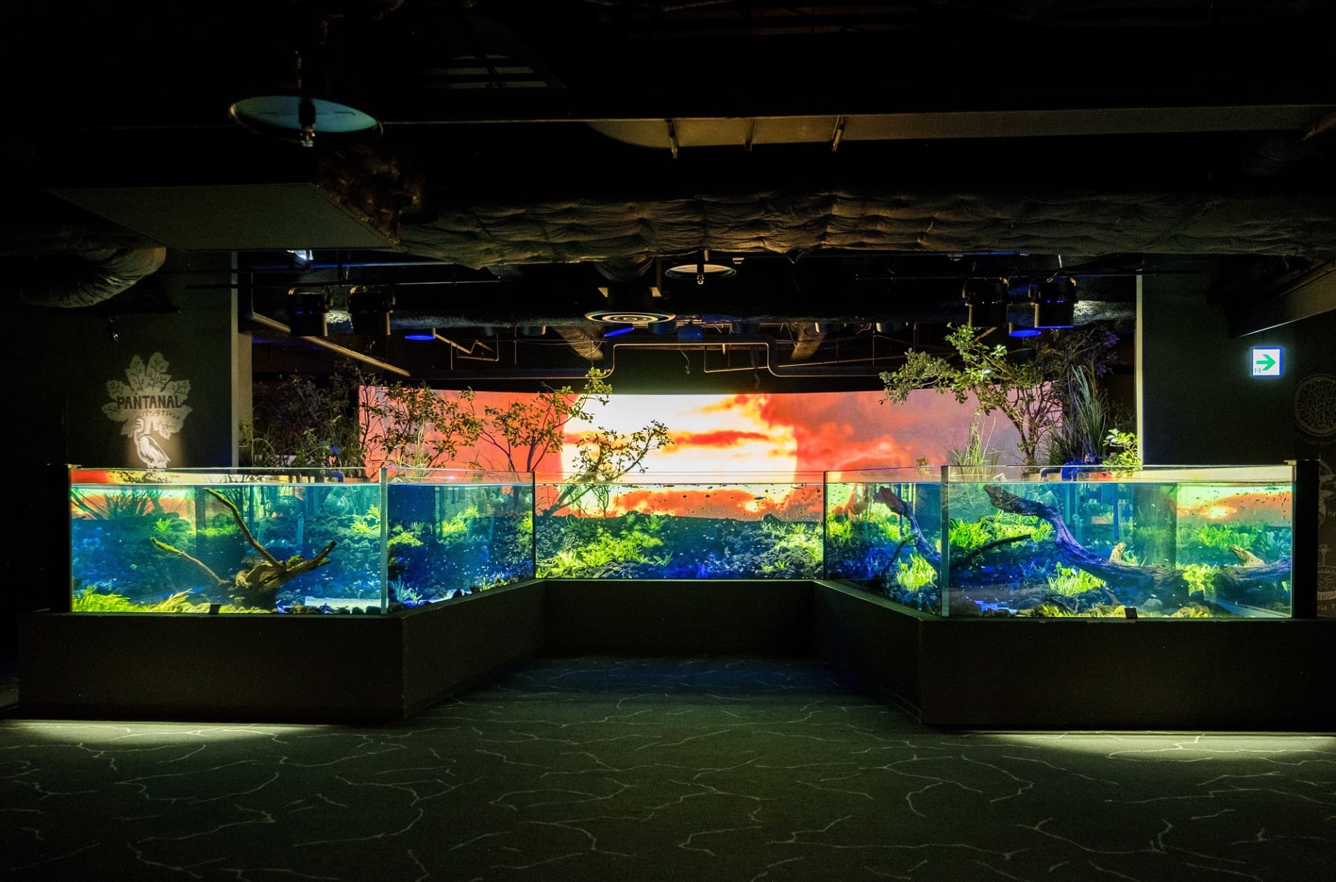 Kawasaki Aquarium Ticket - تصویر 2