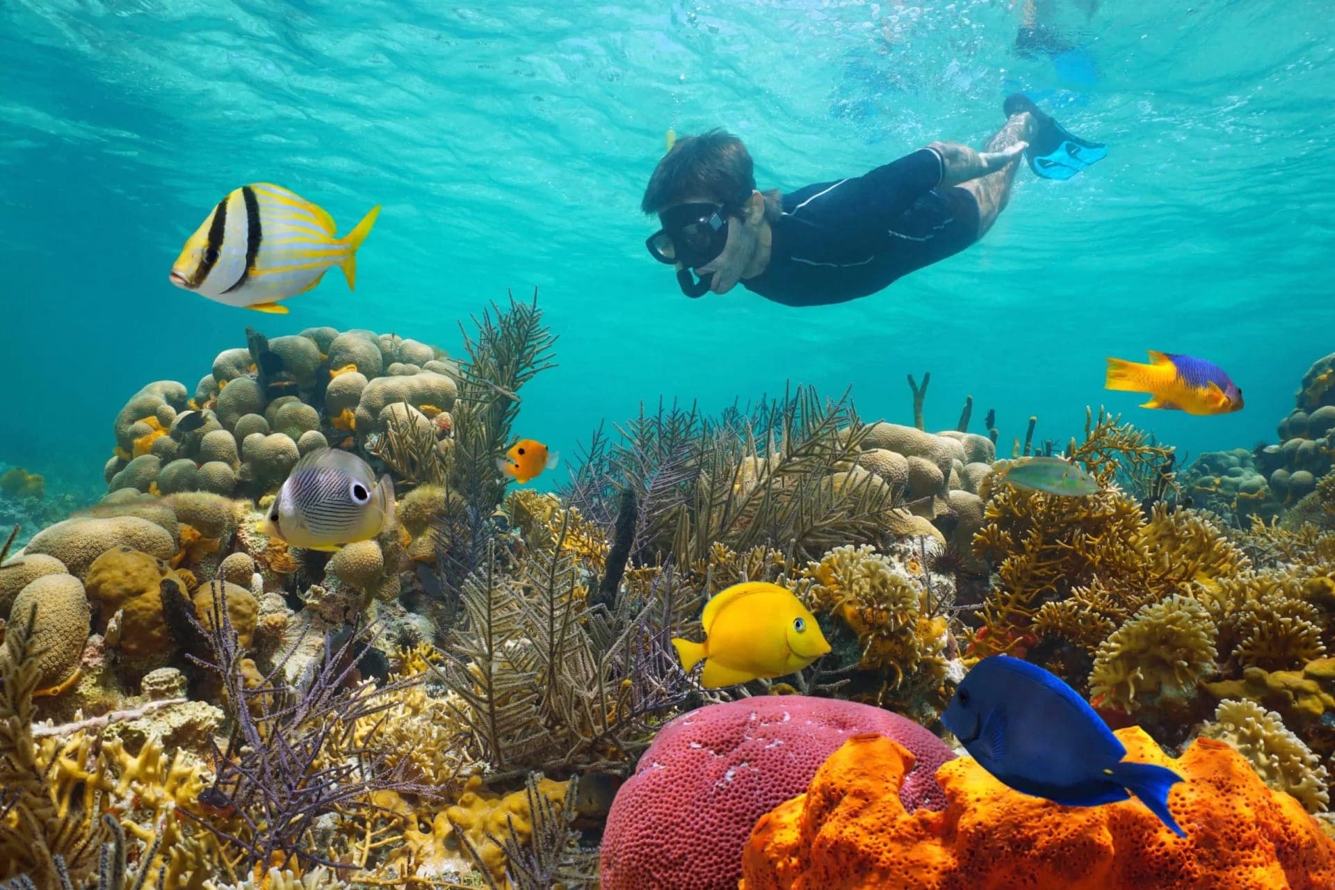 Key West: 3hr Snorkeling Experience with Unlimited Drinks - تصویر اصلی