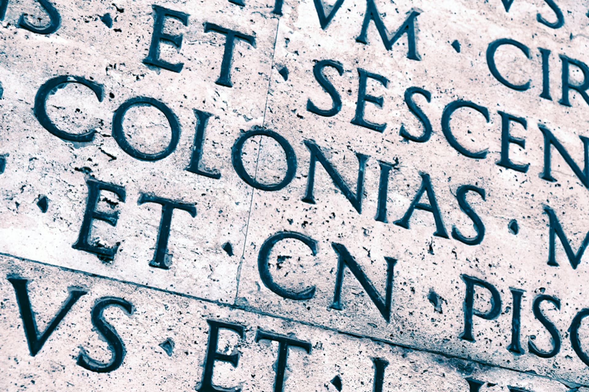 Ara Pacis Museum Ticket - تصویر 2