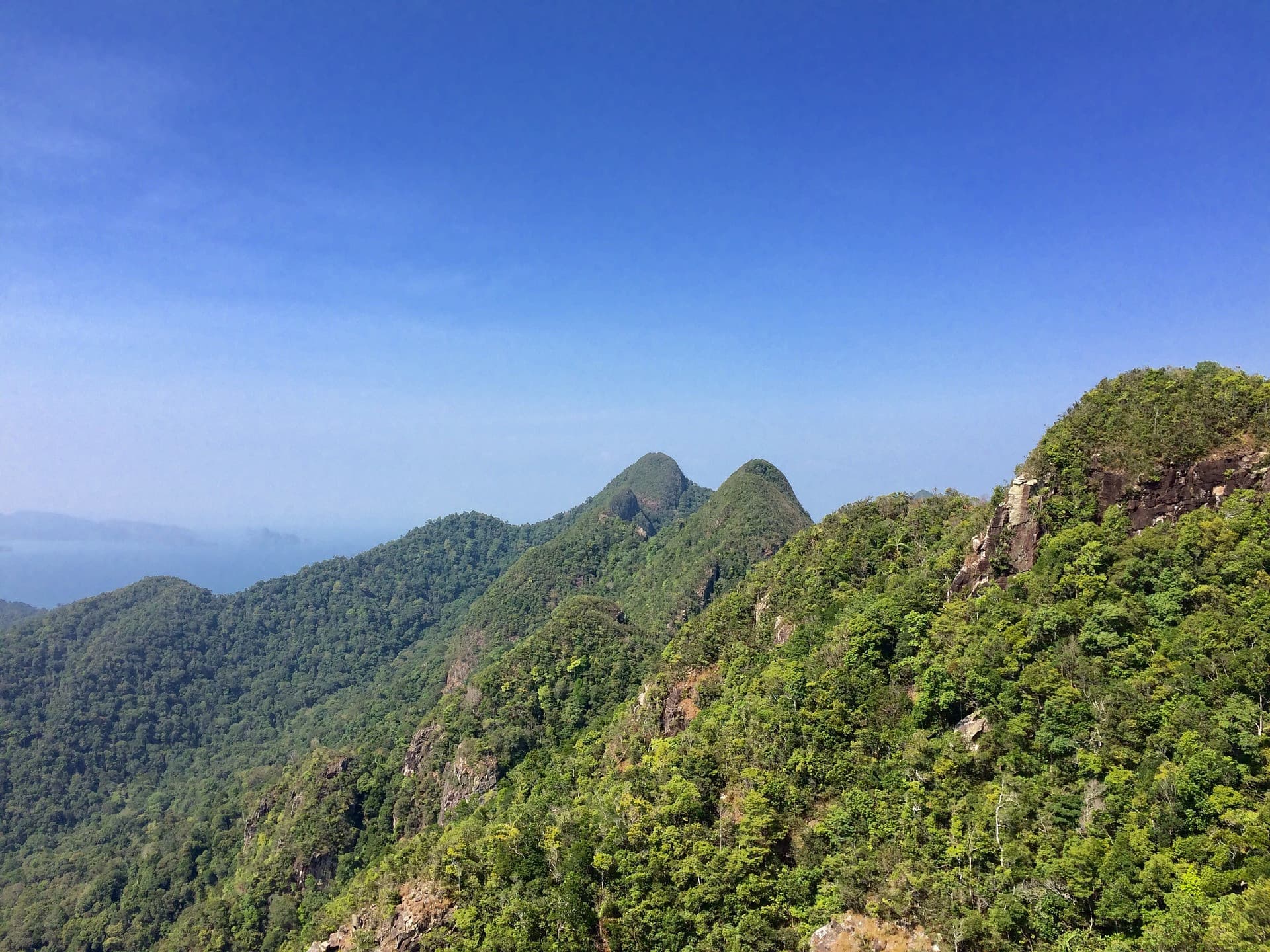 Langkawi Birdwatching Experience Tour - Half Day - تصویر 11
