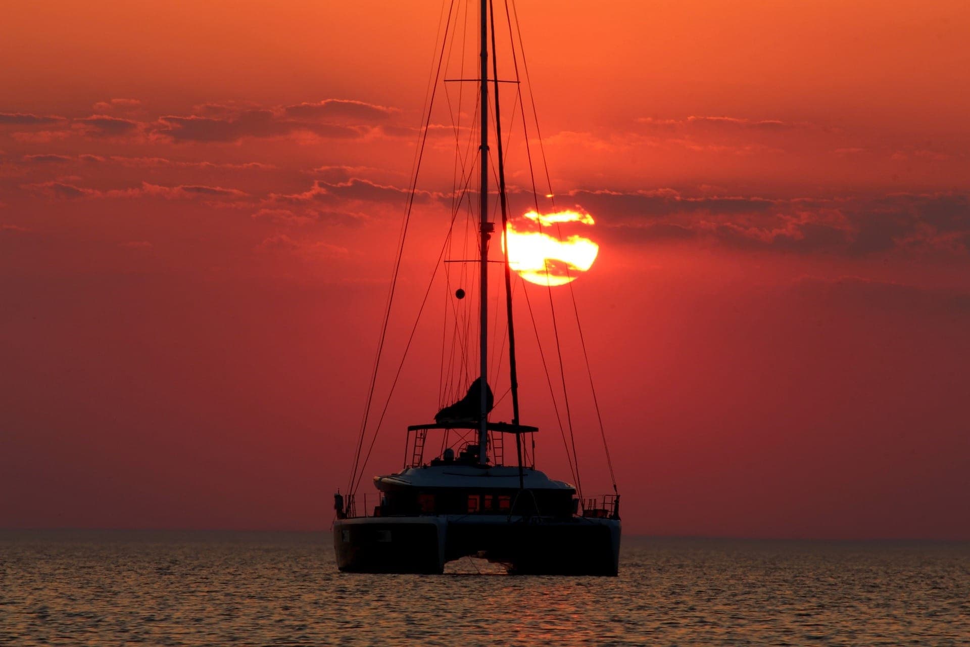 Key West: Dolphin Watching Cruise + Snorkeling + Drinks - تصویر 4