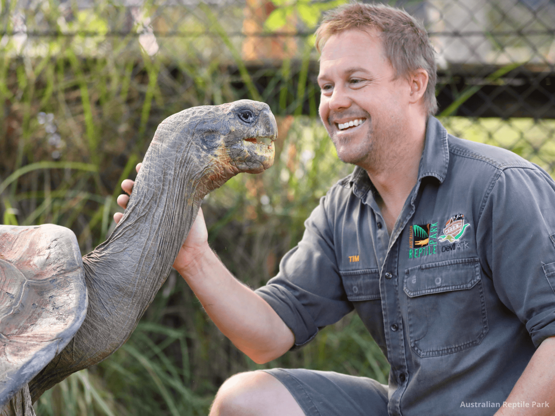 Australian Reptile Park - تصویر 43