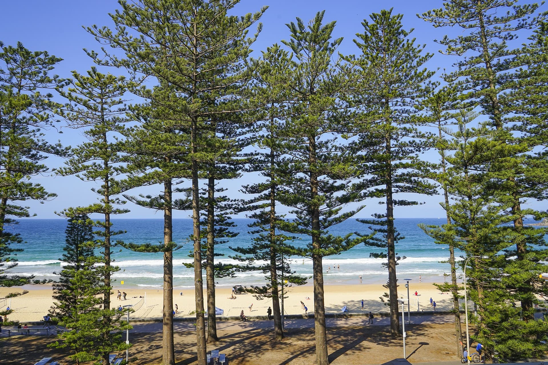 Manly Beach Cycling Tour with Sunset Cruise - تصویر 5