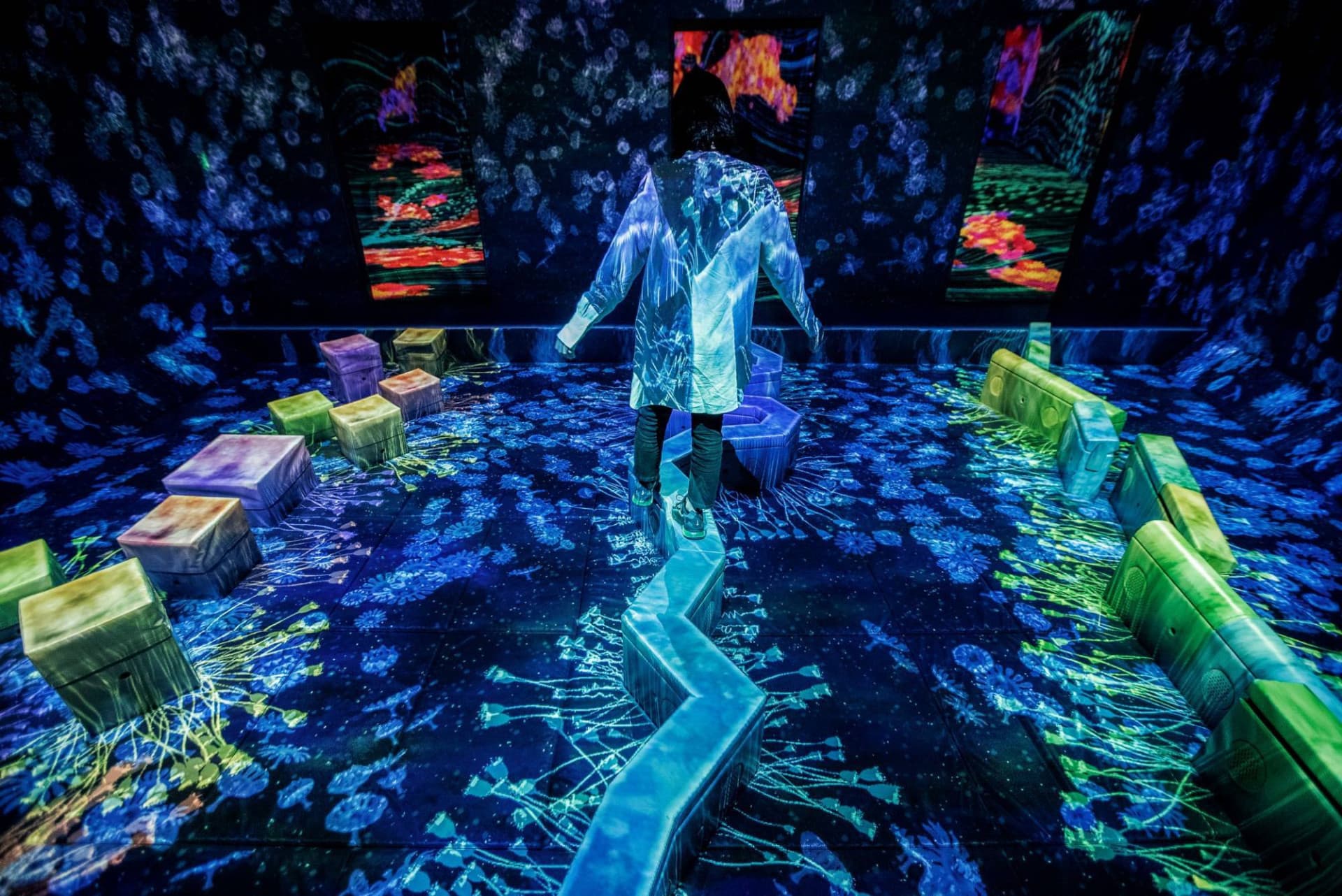 teamLab Forest Fukuoka - تصویر 2