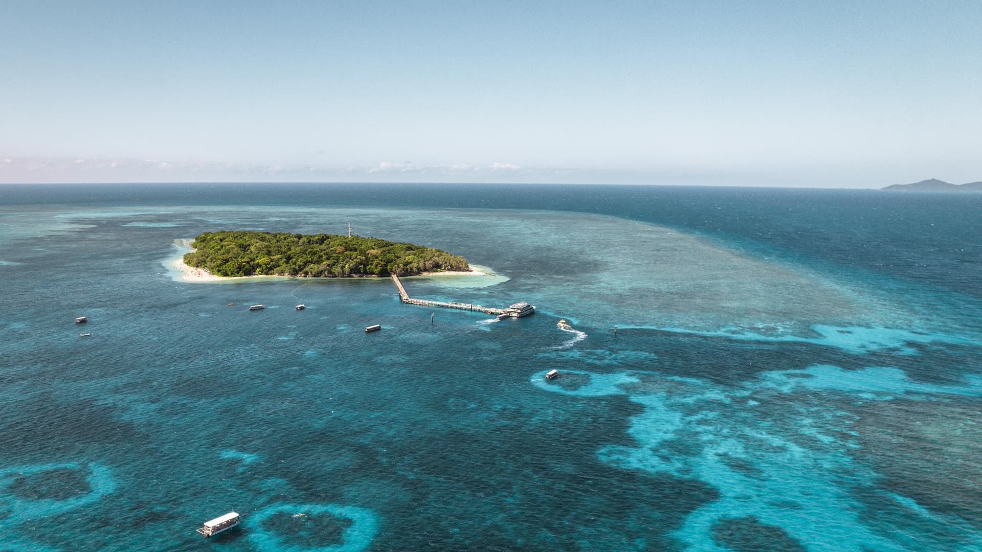 Green Island Great Barrier Reef Half Day Tour from Cairns - تصویر 2