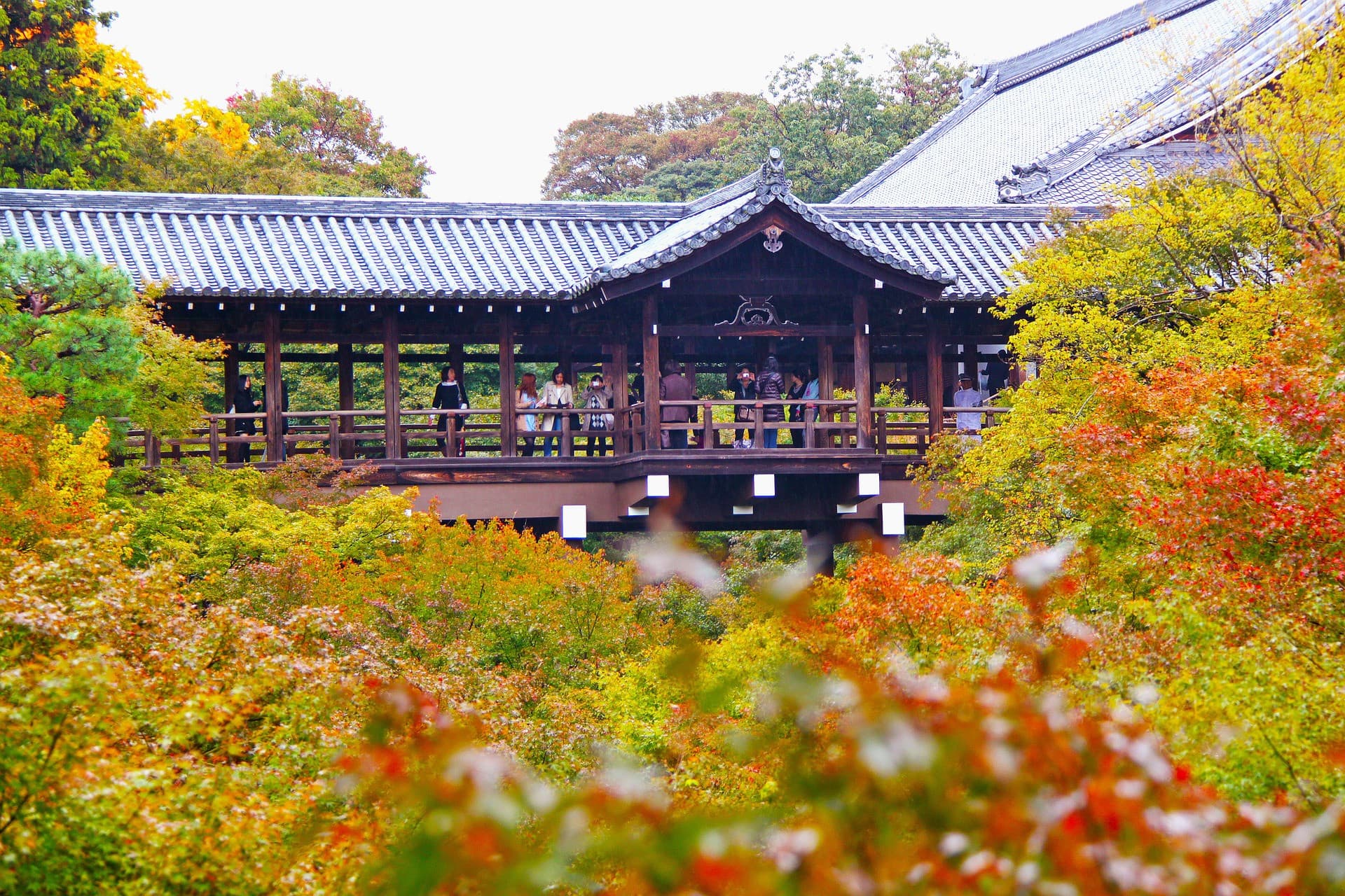 Kyoto-Osaka Sightseeing Pass - تصویر 5