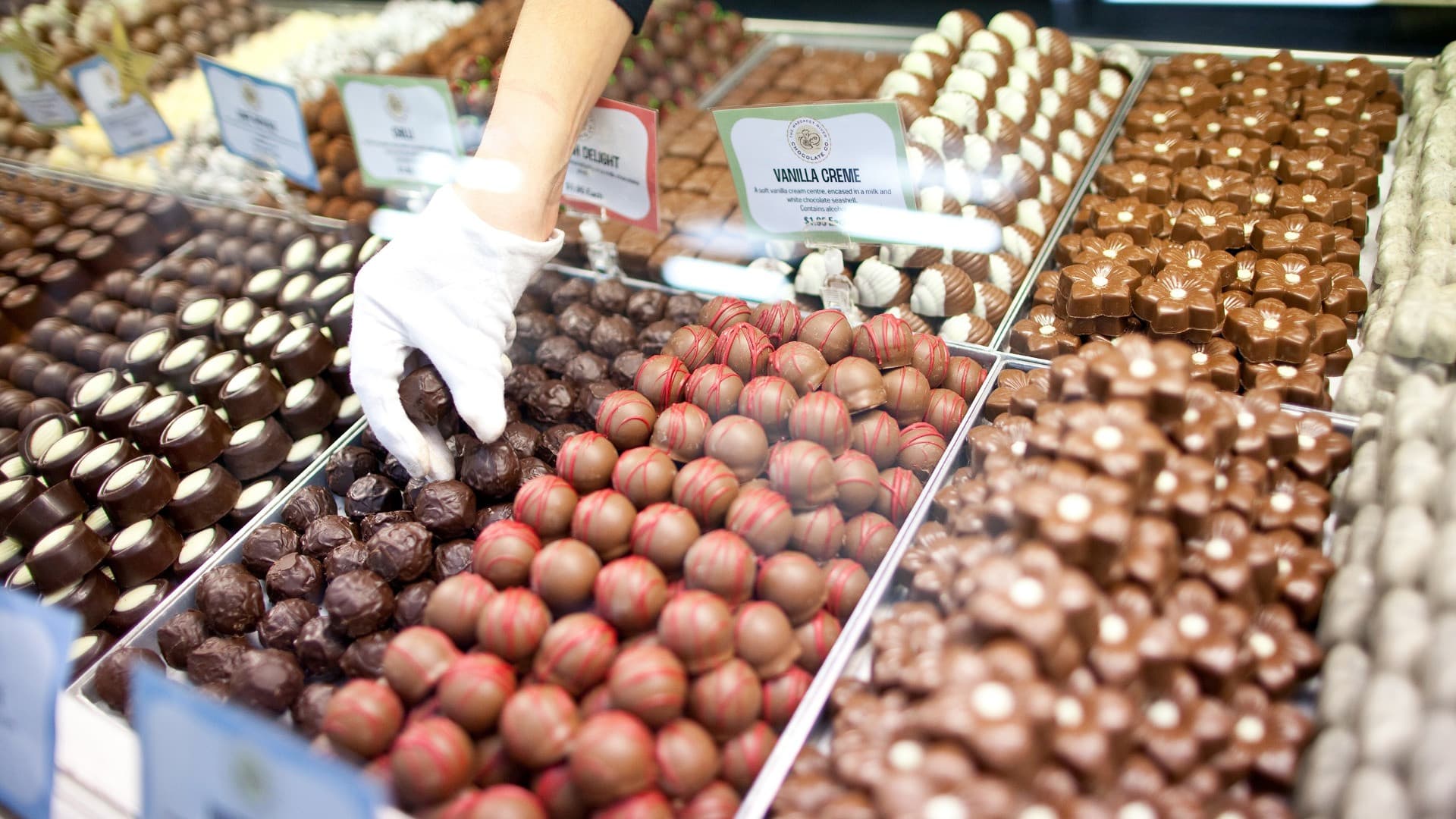 Swan Valley Full-Day Tour with Indulgence Cruise and Wine and Chocolate Tasting - تصویر 3