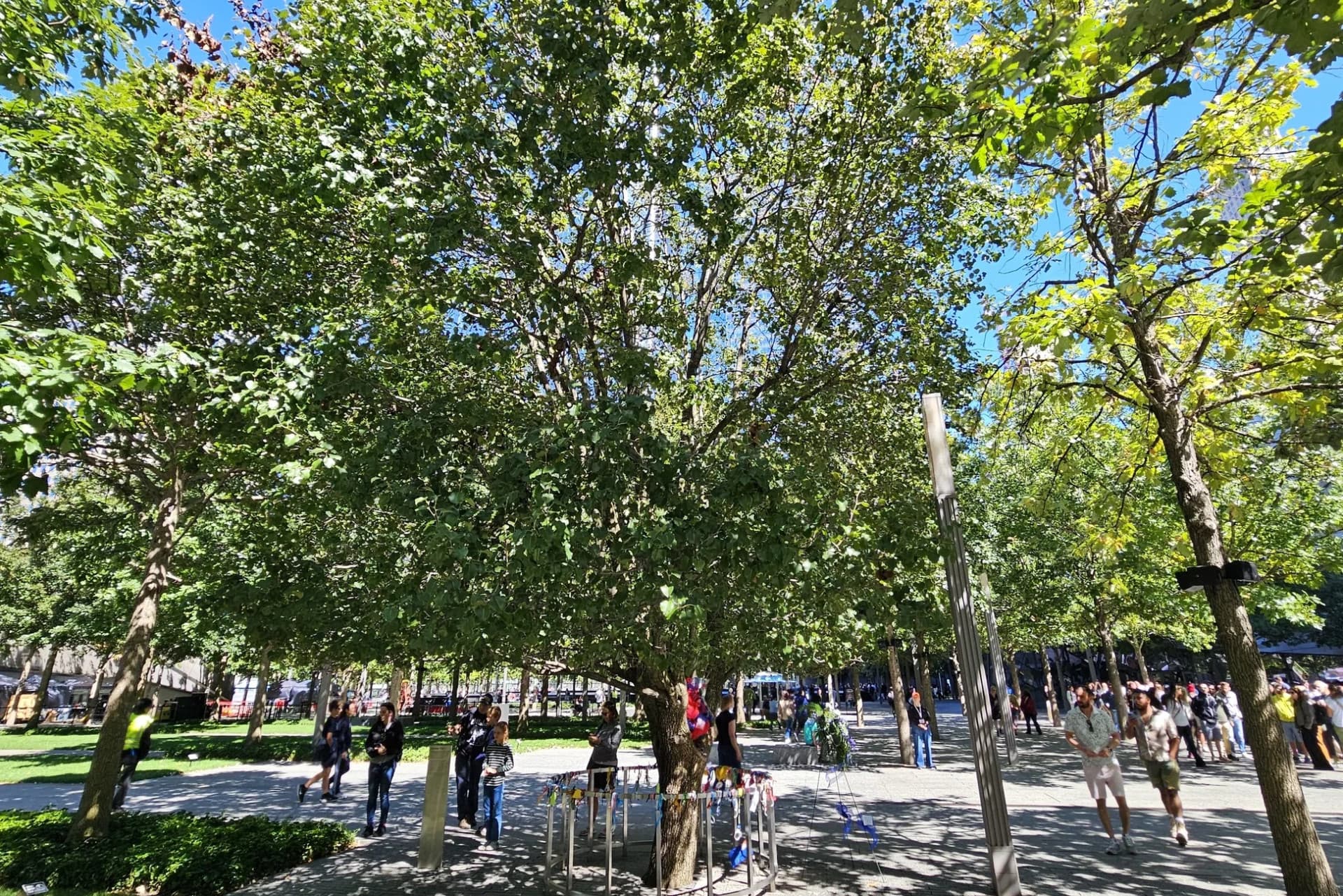 9/11 Memorial & Wall Street Walking Tour + Optional 9/11 Museum Admission - تصویر 13