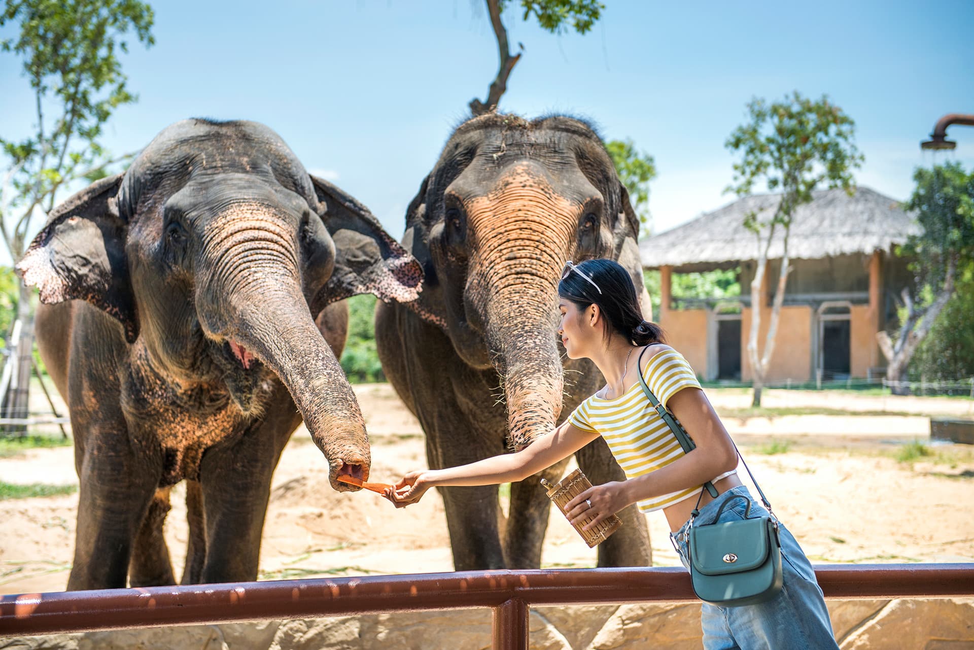VinWonders Nam Hoi An Amusement Park Ticket - تصویر 10