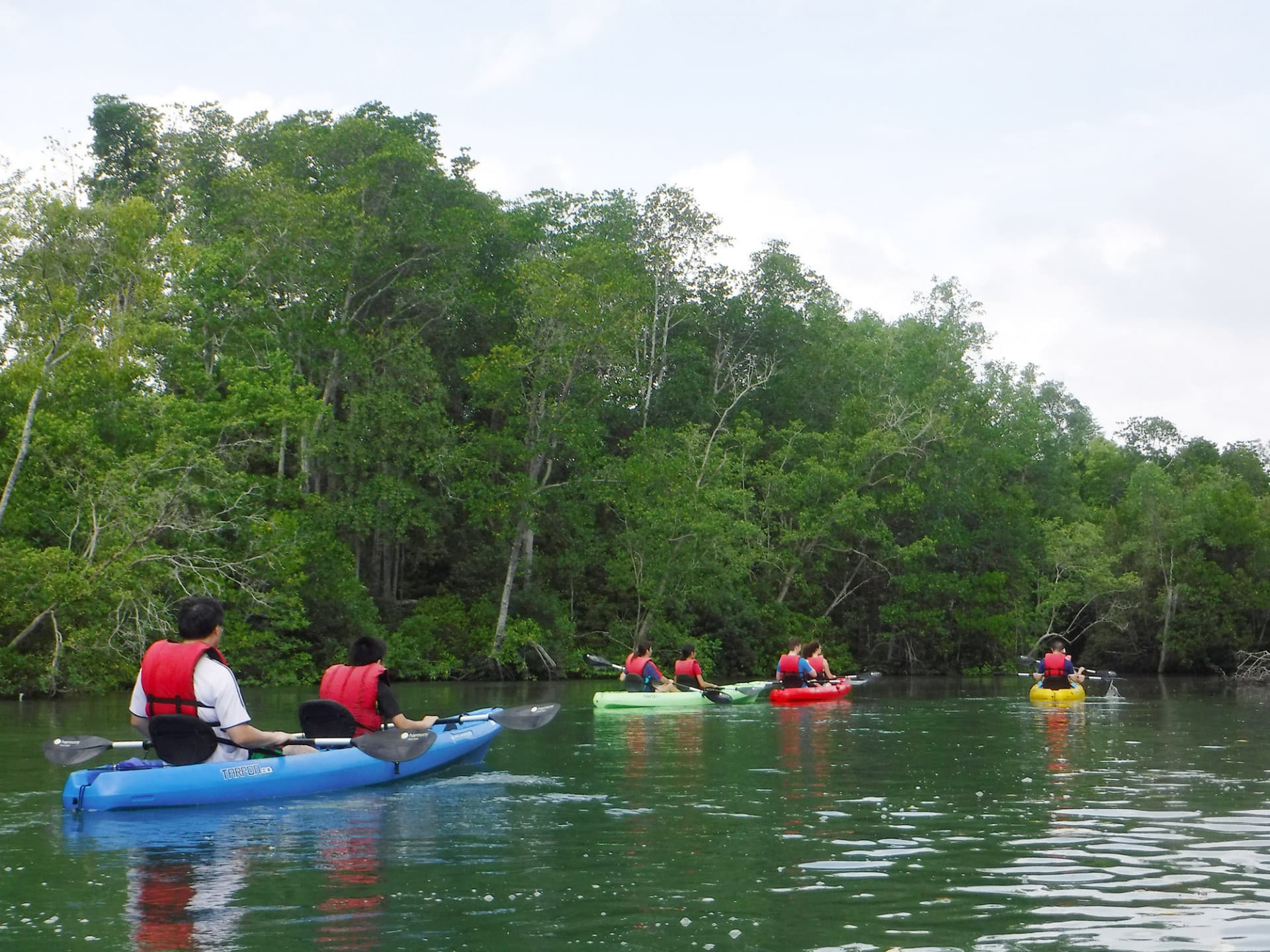 Pulau Ubin Kayaking - تصویر 3