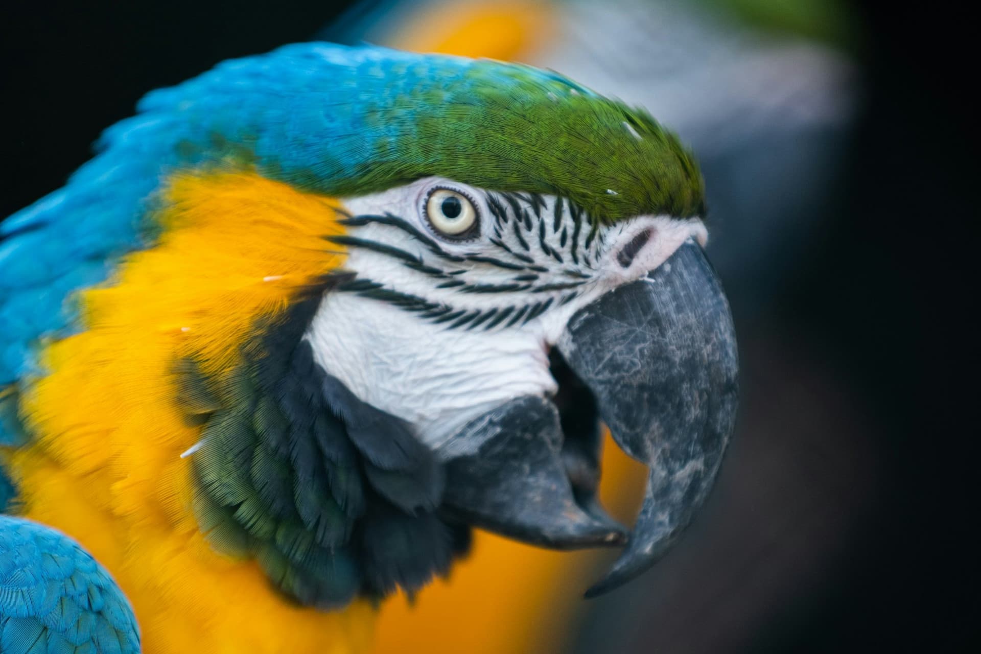 Zoo Santo Inácio Ticket - تصویر 9